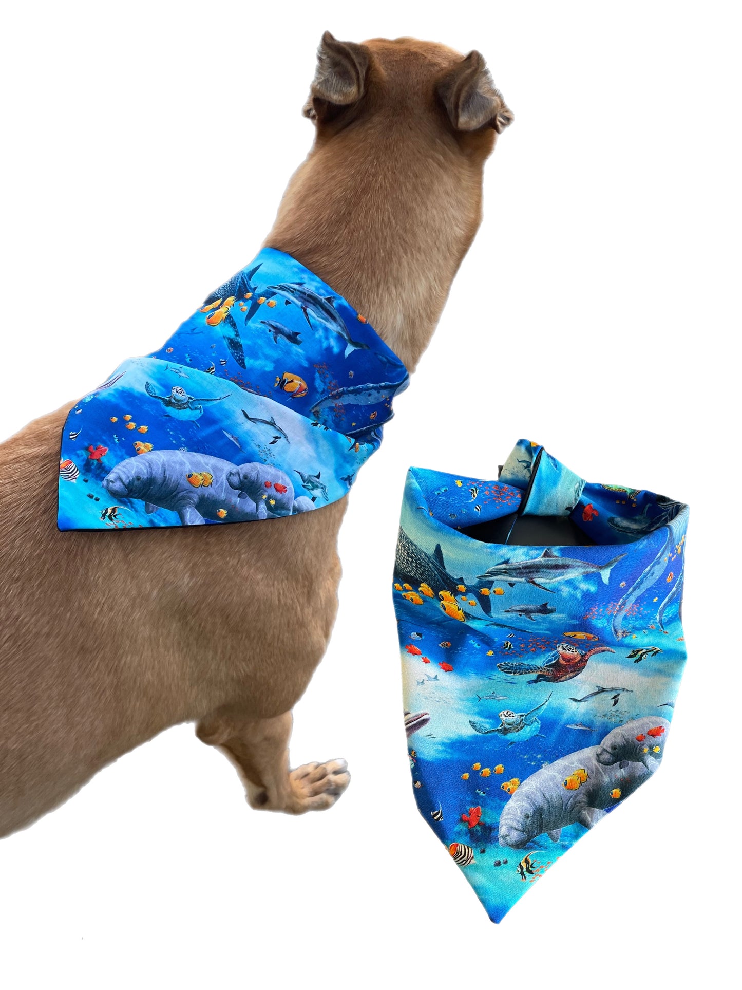 Bandana for the large dog greyhound staffy labrador double sided