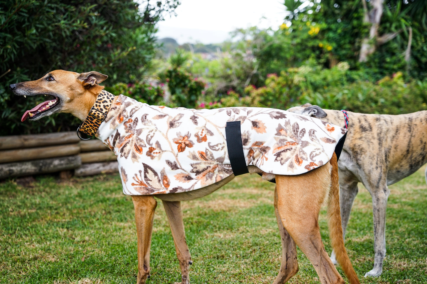Autumn leaves snuggly fleece sports