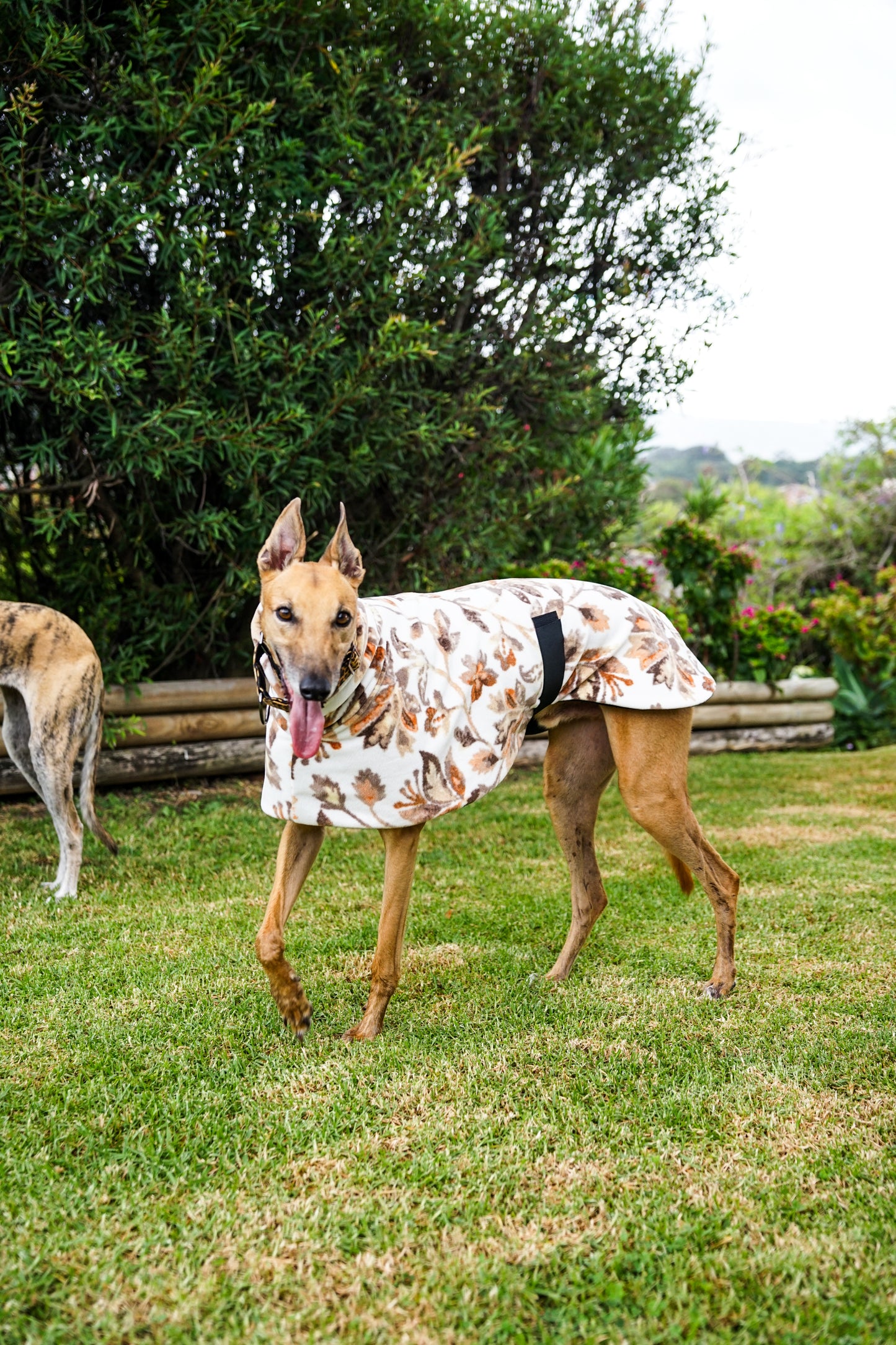 Autumn leaves snuggly fleece sports