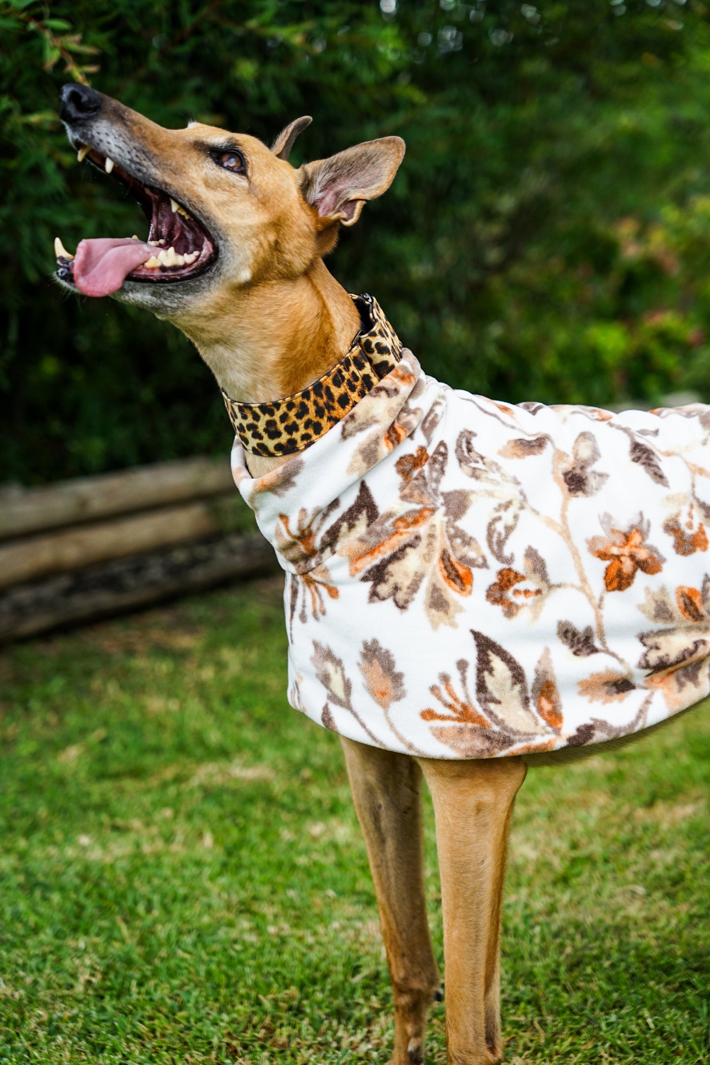 Autumn leaves snuggly fleece sports