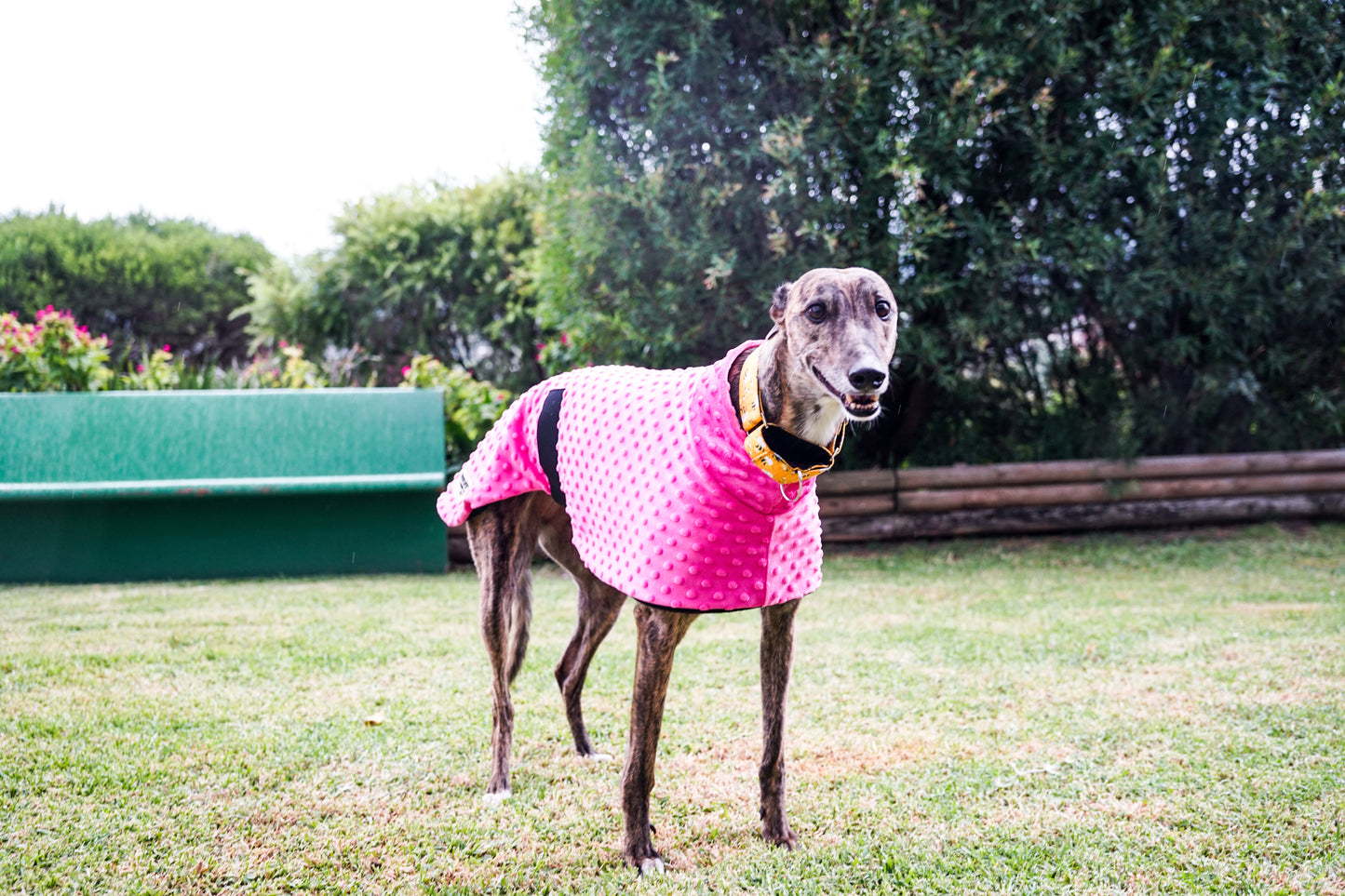 Velvet touch hot pink minky fleece sports