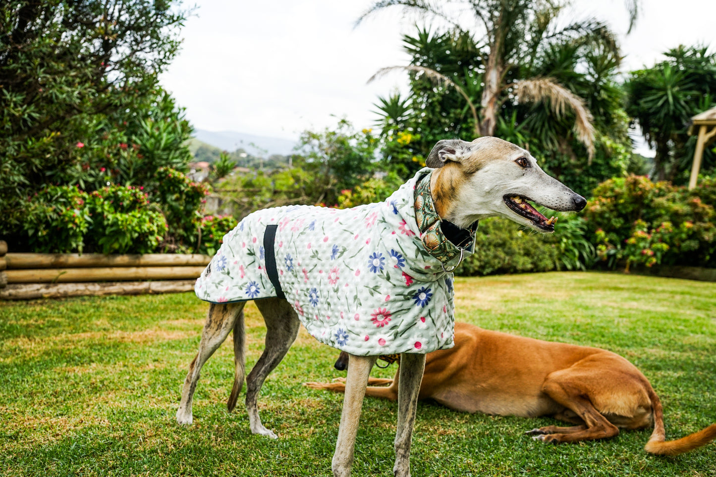 Our floral sage minky fleece sports