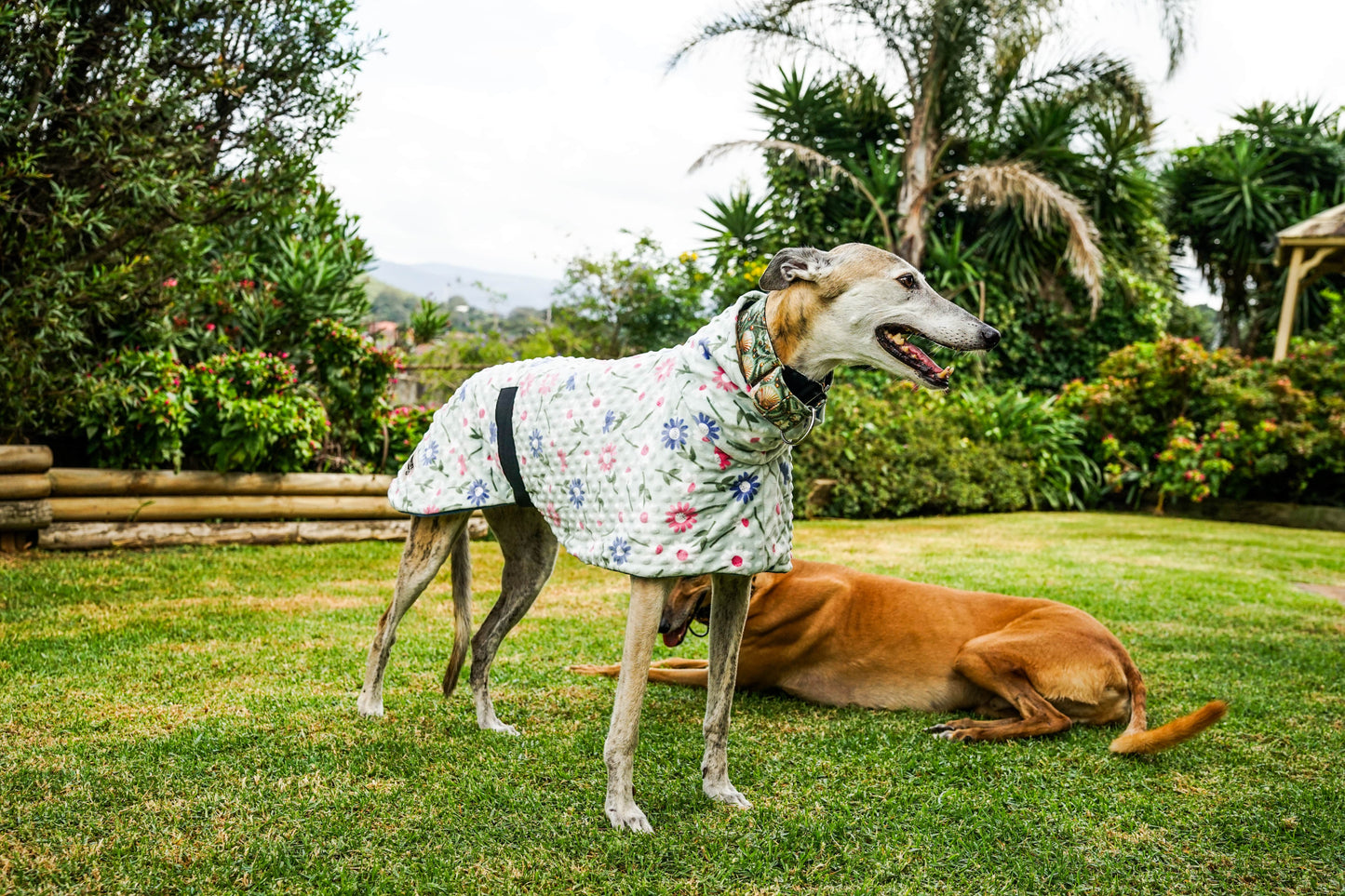 Our floral sage minky fleece sports