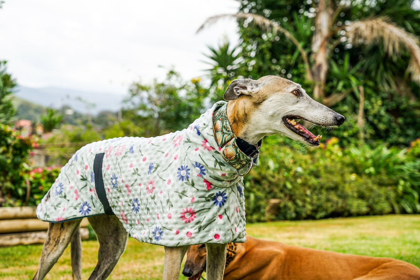 Our floral sage minky fleece sports