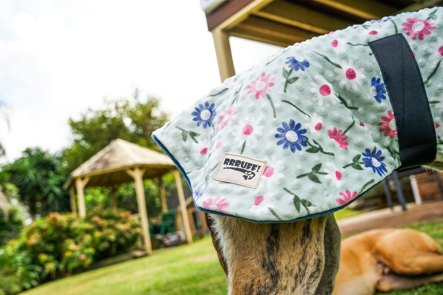 Our floral sage minky fleece sports