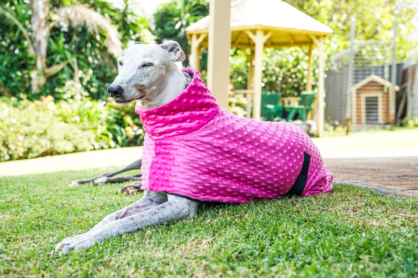 Velvet touch hot pink minky fleece sports