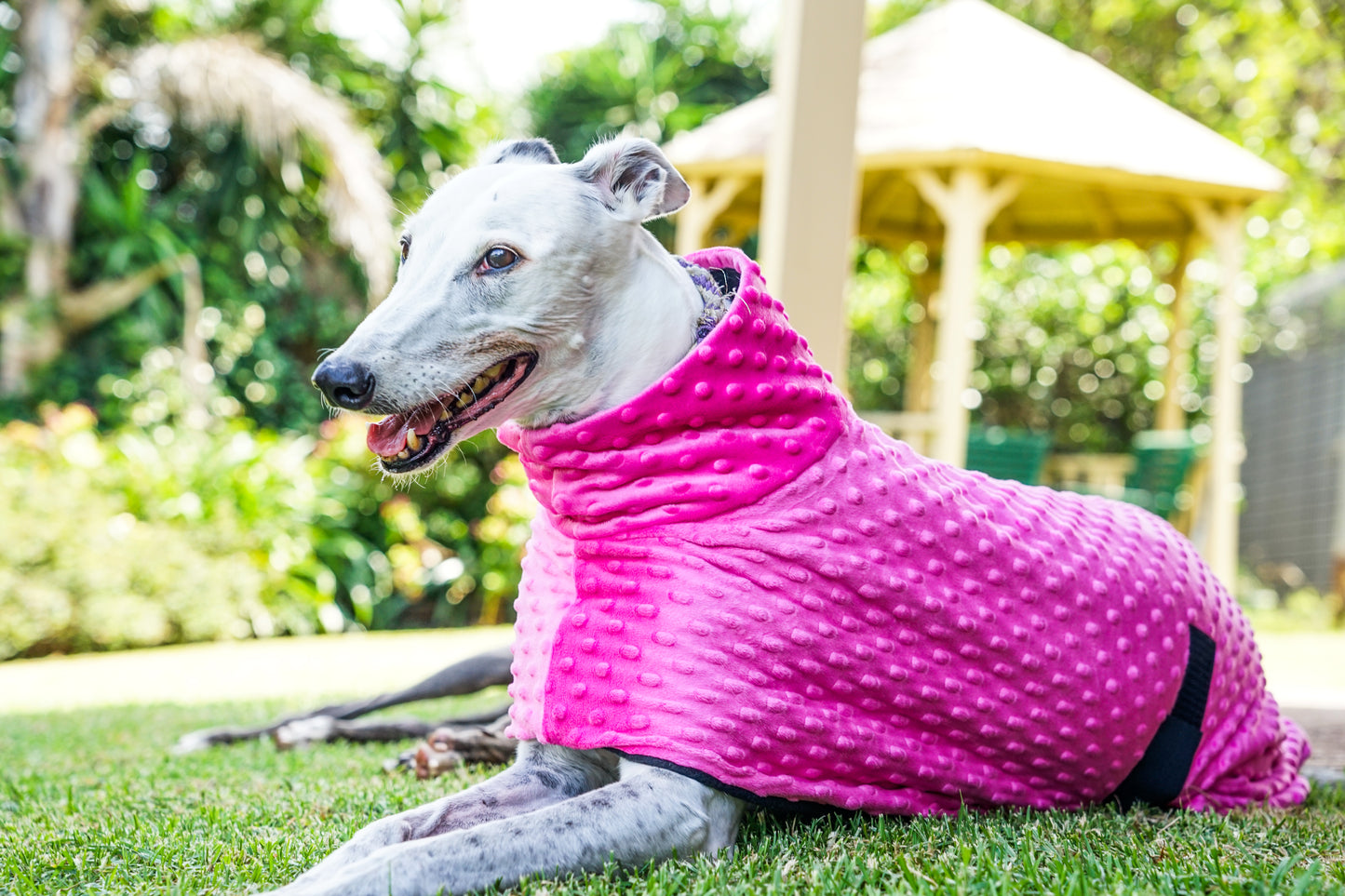 Velvet touch hot pink minky fleece sports