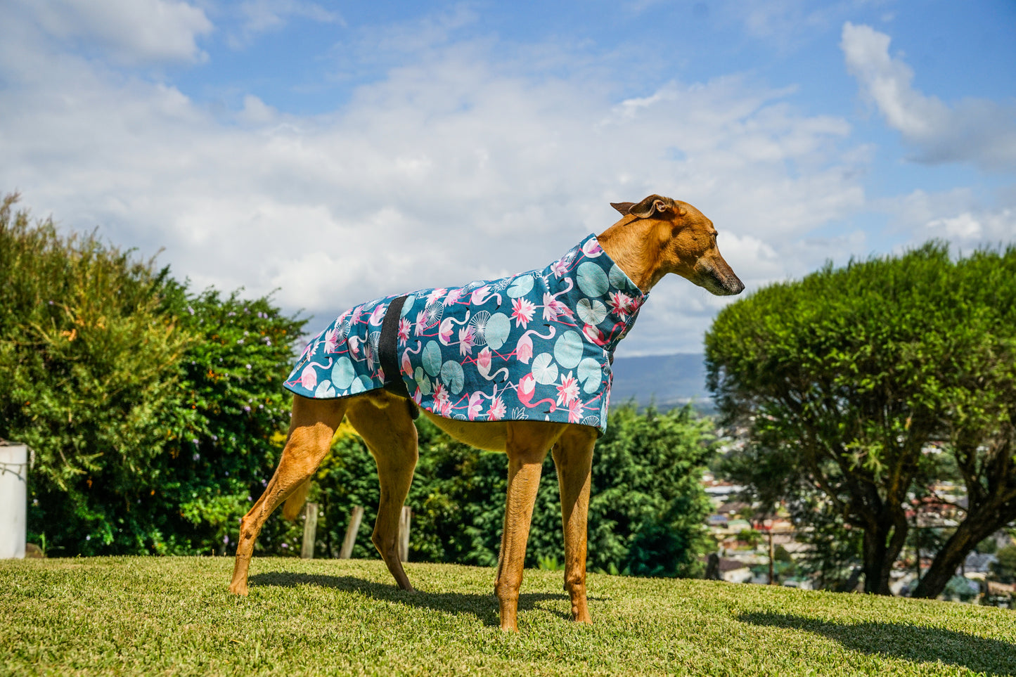 Pink flamingo cotton sports coat