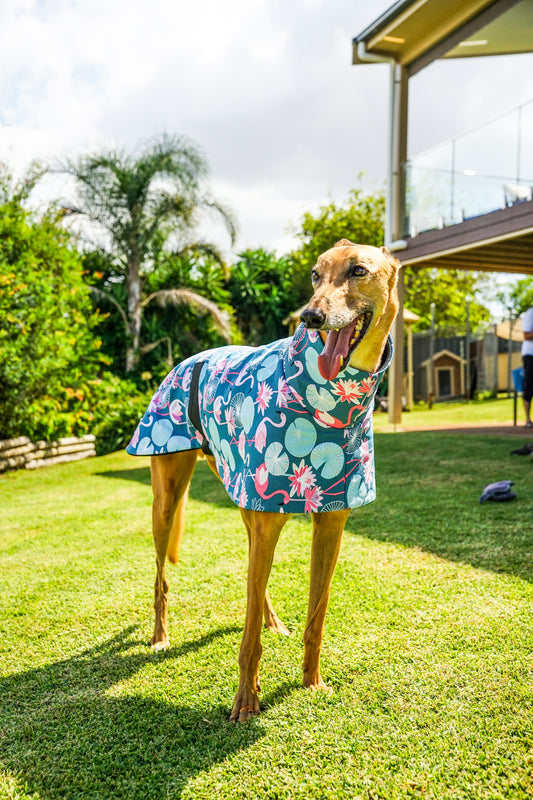 Pink flamingo cotton sports coat. On sale