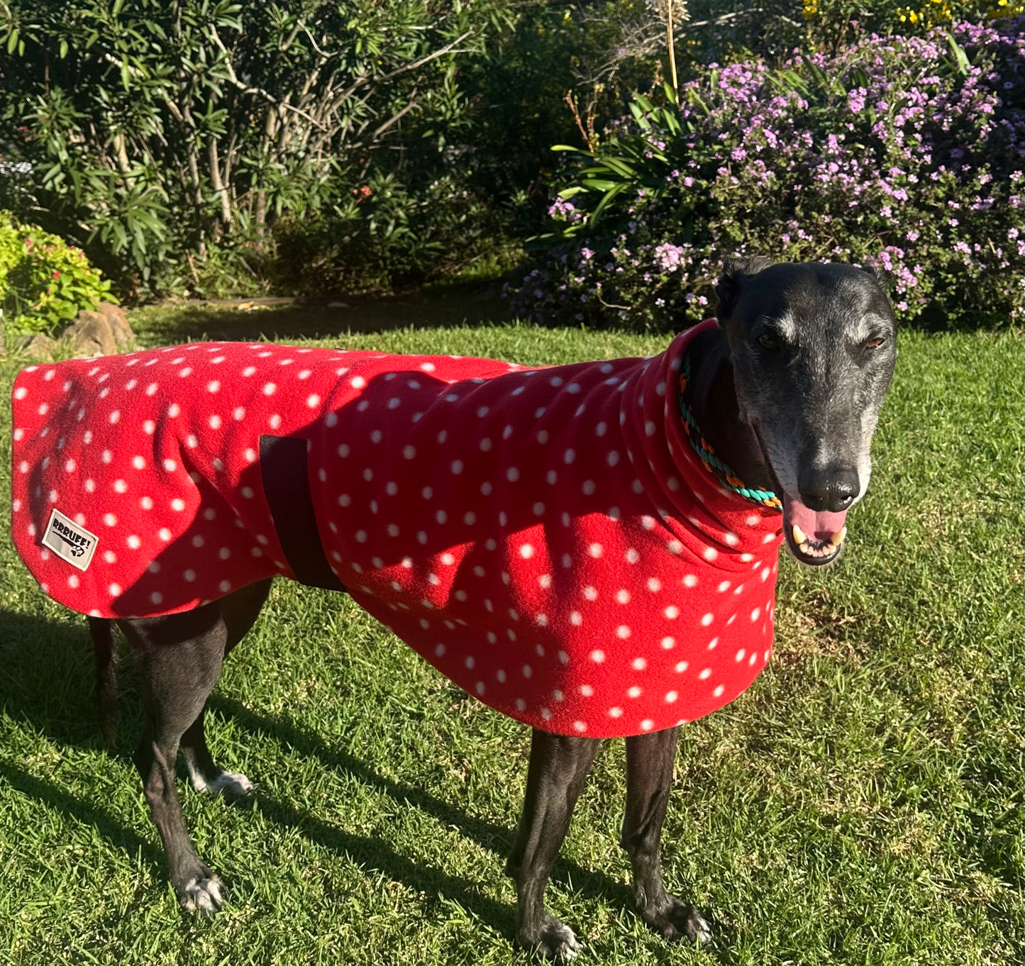 Red polka dots lighter weight fleece sports