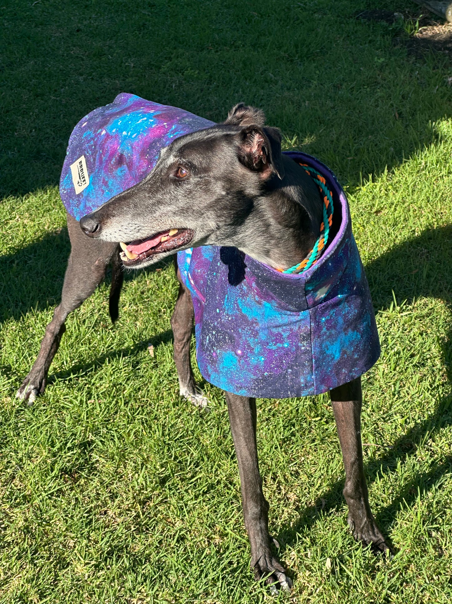 Galaxy print cotton & fleece greyhound sports