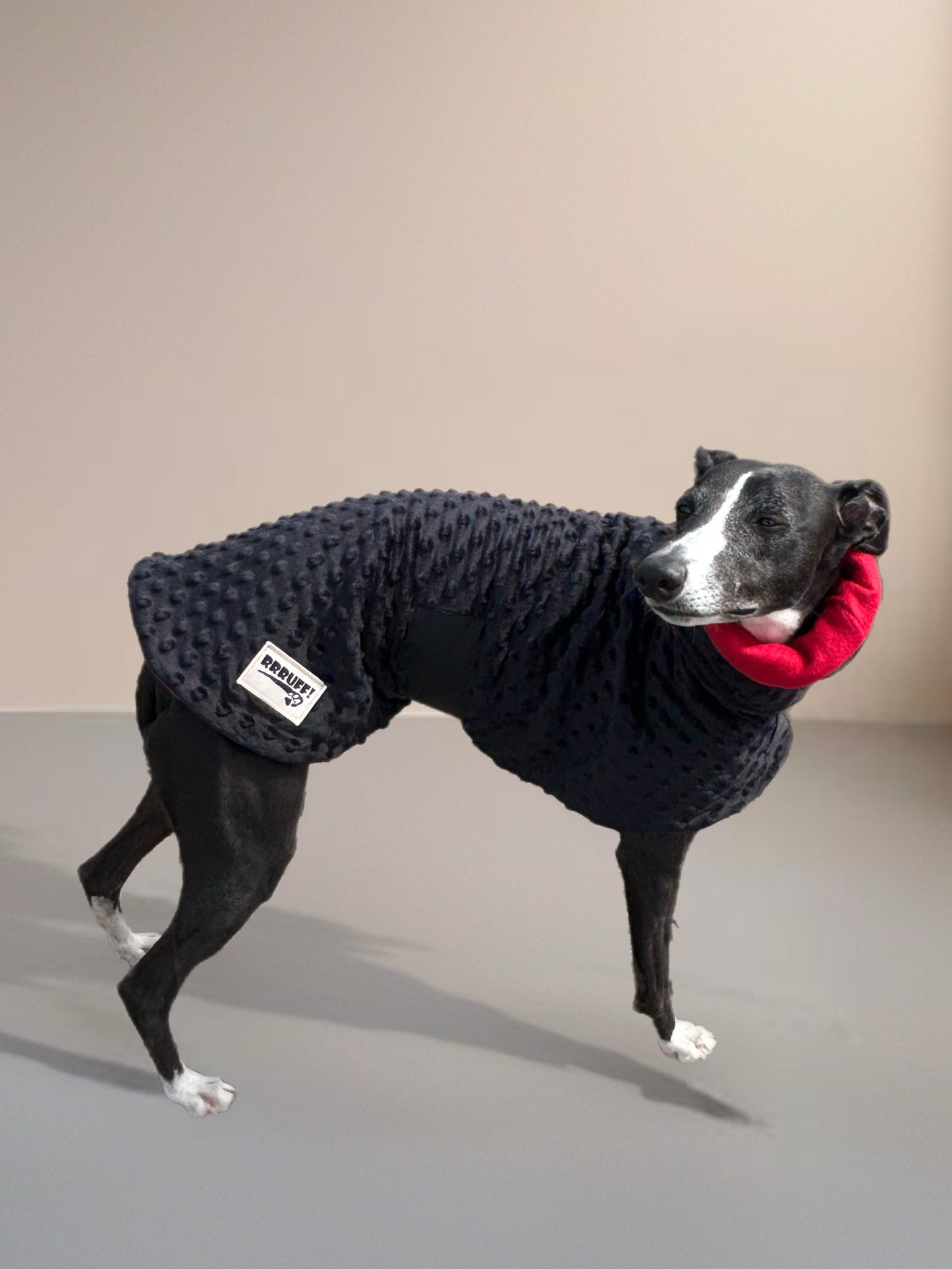 Whippet coat & snood ensemble in super soft minky fleece