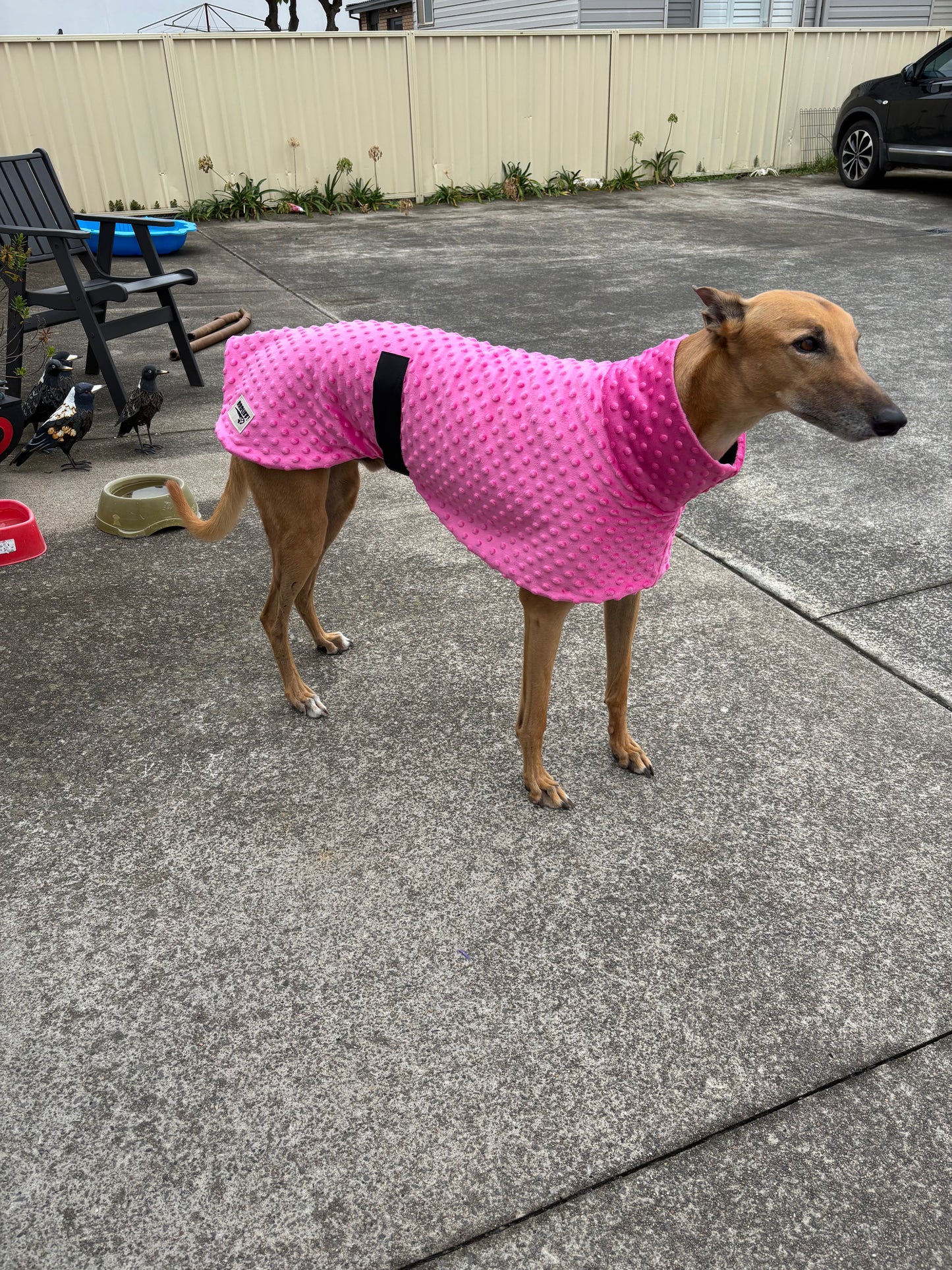 Velvet touch hot pink minky fleece sports