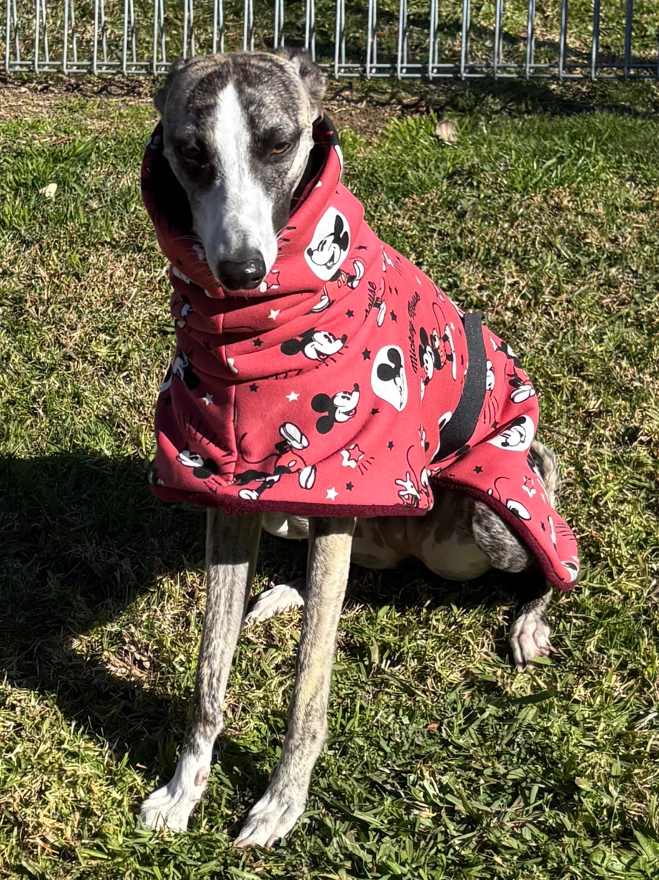 Whimsy Disney inspired whippet snuggly double fleece