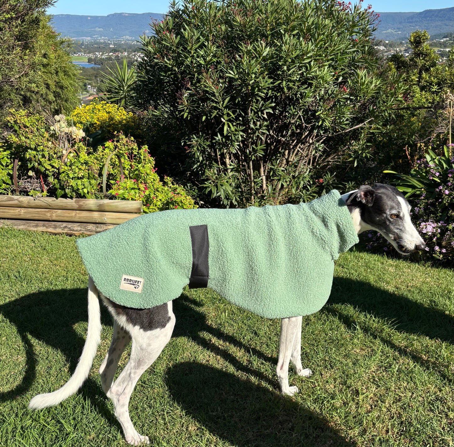 Sage snuggly midweight teddy fleece sports