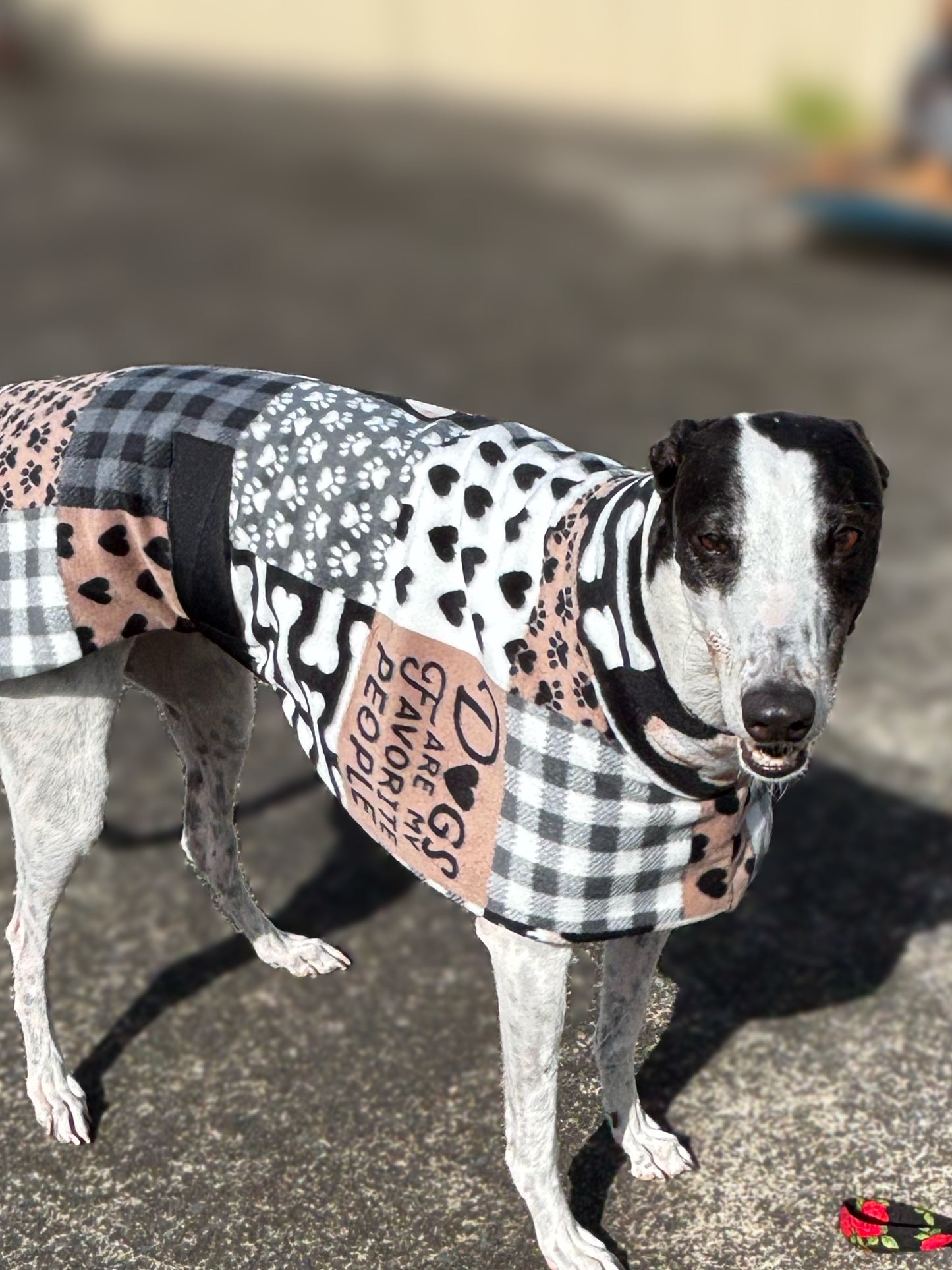 Dogs are my favorite people Soft fleecy greyhound sports coat