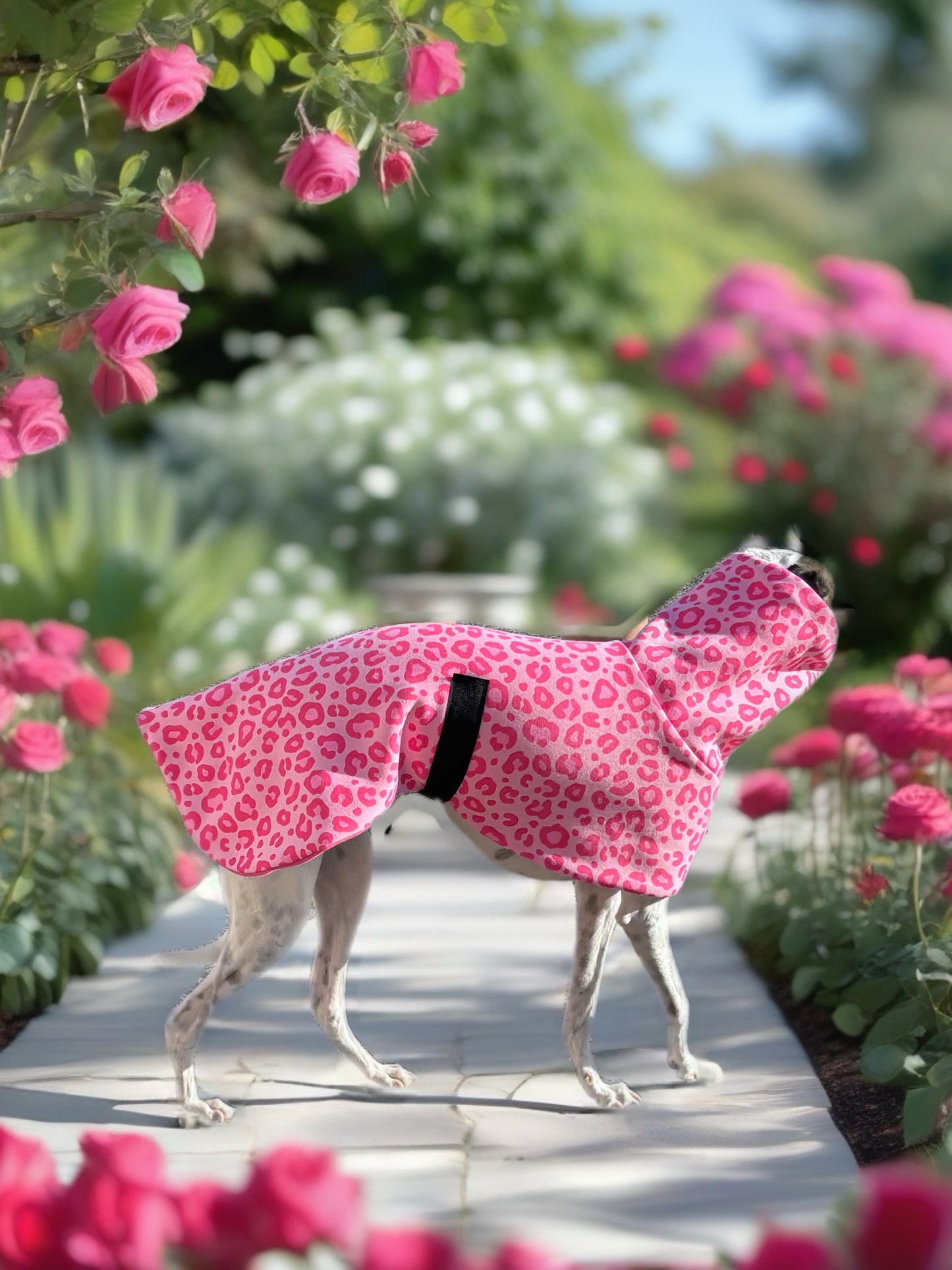 Pink leopard girly girl soft fleecy greyhound sport coat