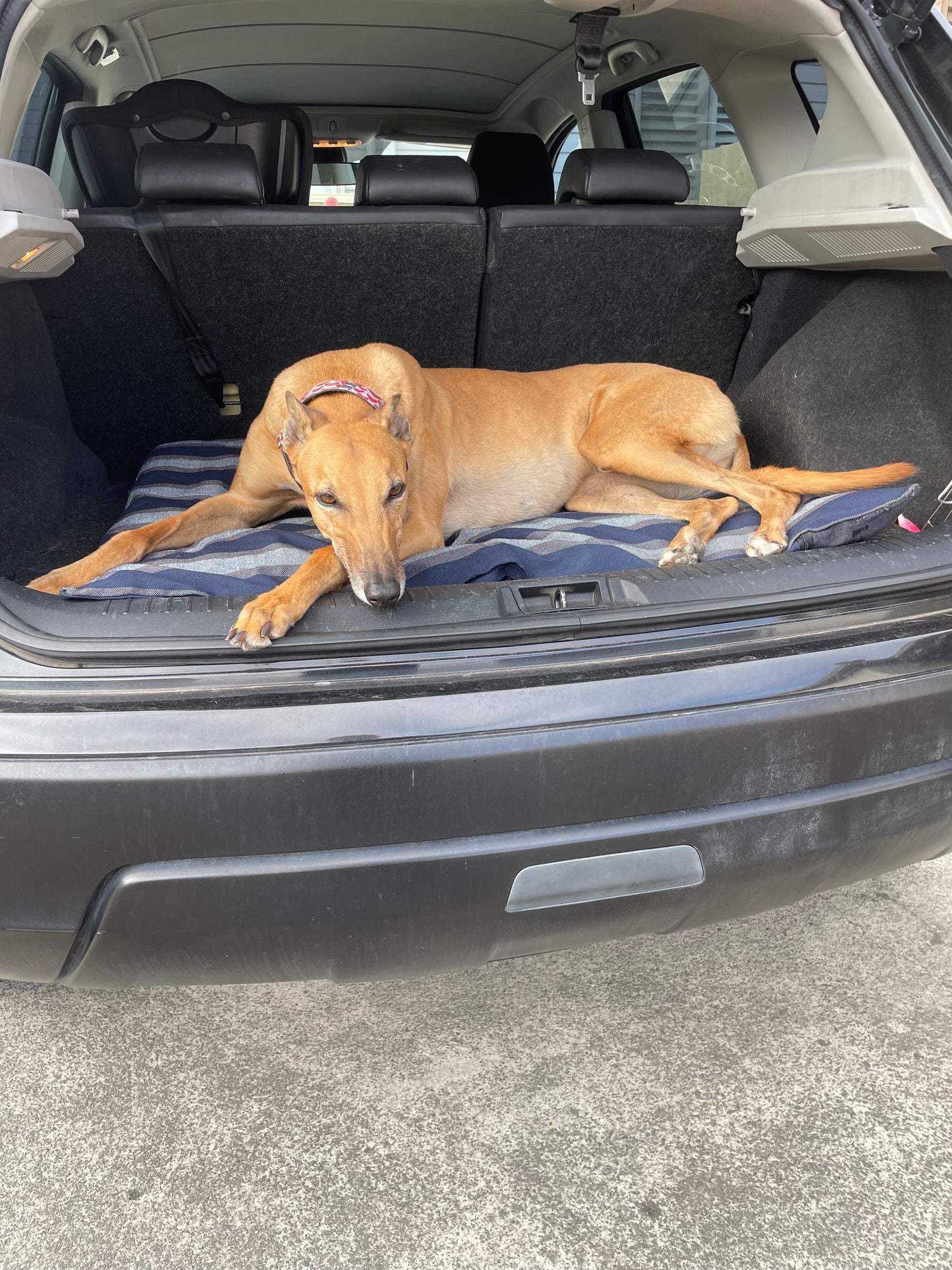 SALE! Blue stuff it cover only dog bed, washable fabric, recycled dog bed, kennel bed puppy mastiff Dane big larges
