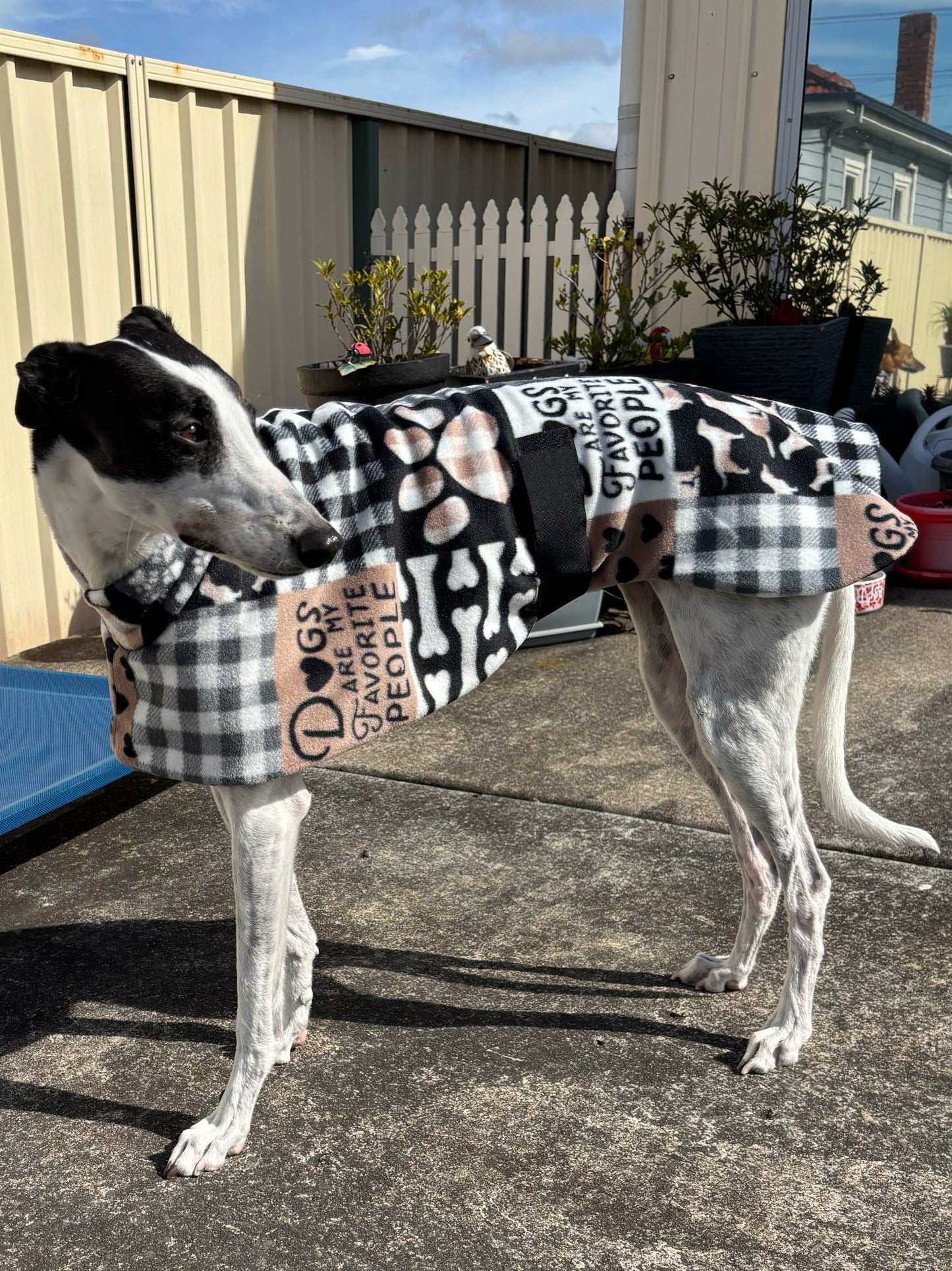 Dogs are my favorite people Soft fleecy greyhound sports coat