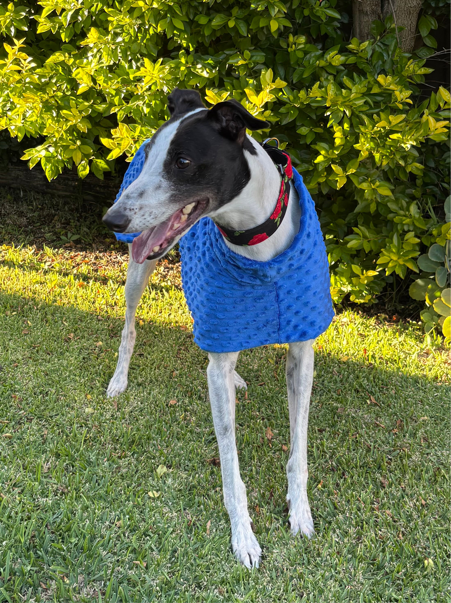 Velvet touch emerald blue minky fleece sports