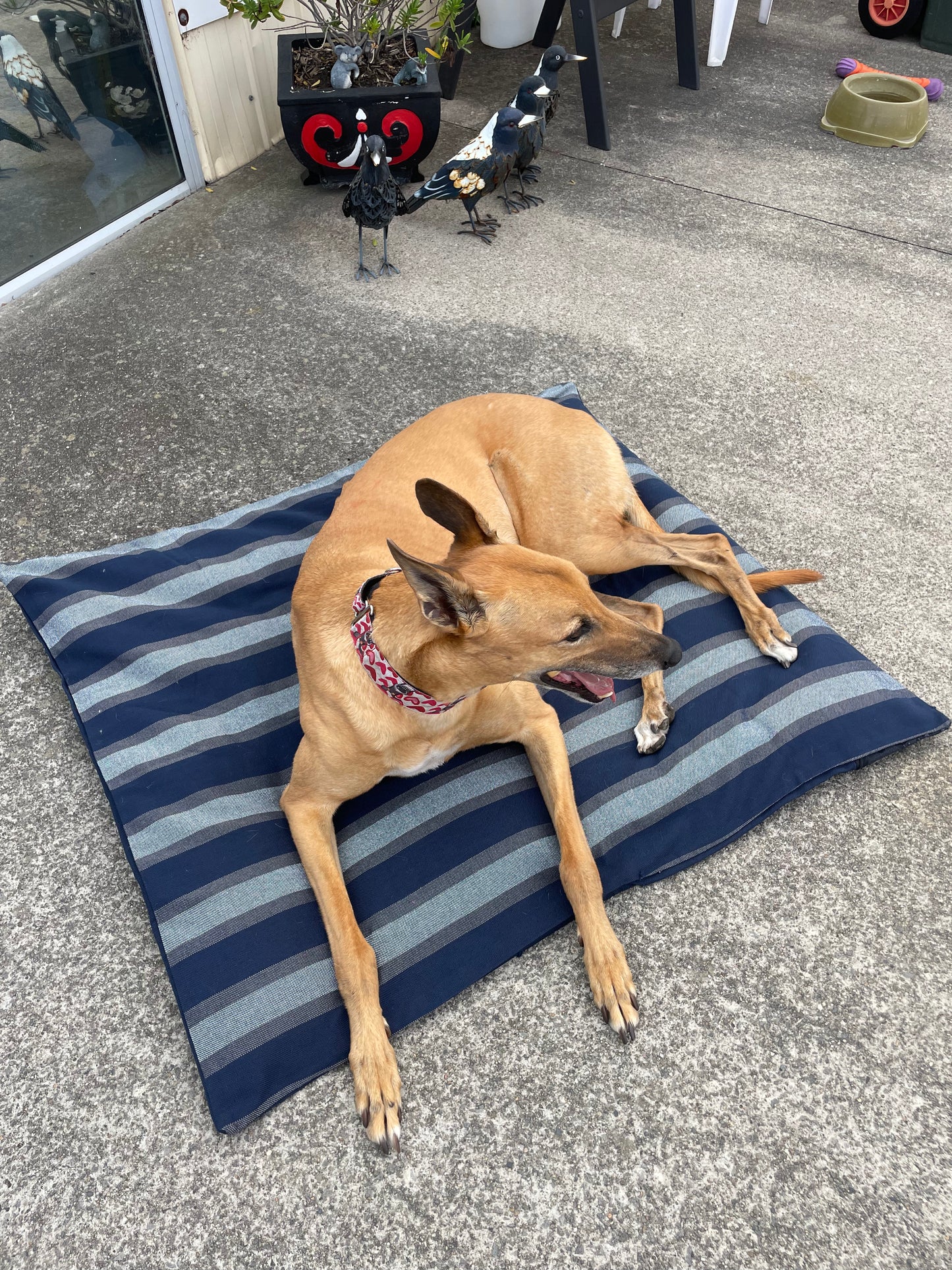 SALE! Blue stuff it cover only dog bed, washable fabric, recycled dog bed, kennel bed puppy mastiff Dane big larges
