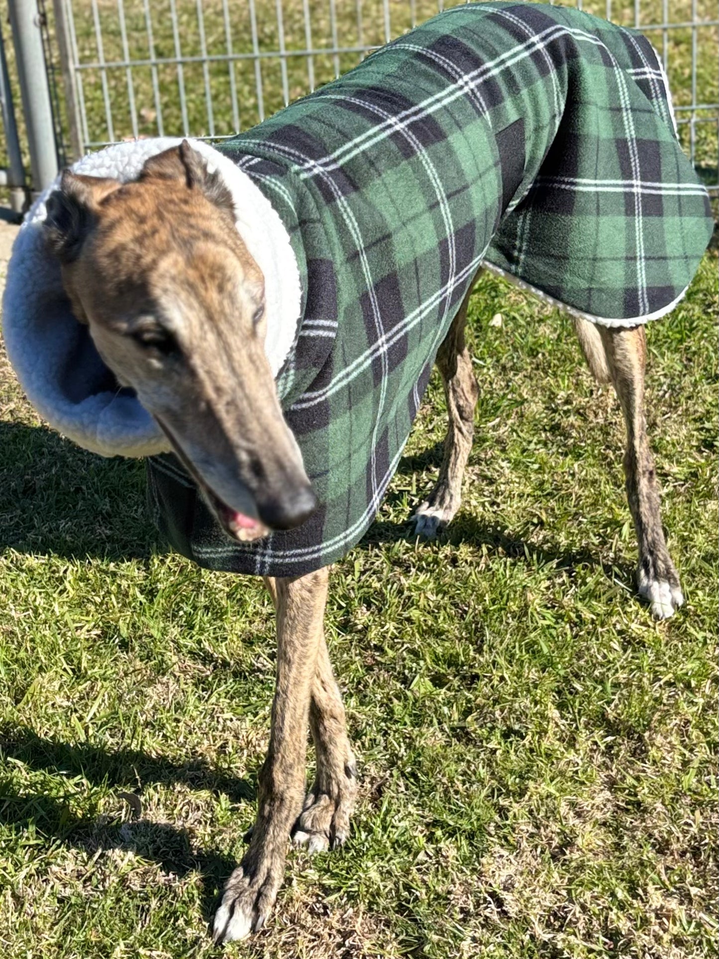 Green Lumberjack Greyhound coat in deluxe style rug tartan check polar fleece washable extra wide neck