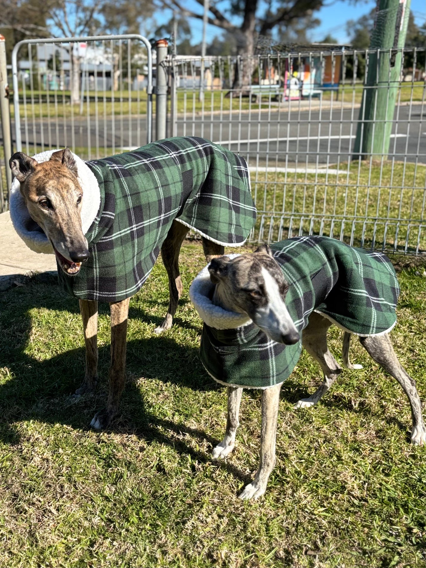 Green Lumberjack Greyhound coat in deluxe style rug tartan check polar fleece washable extra wide neck