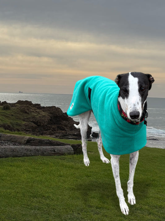 Emerald green thick and snuggly fleece sports