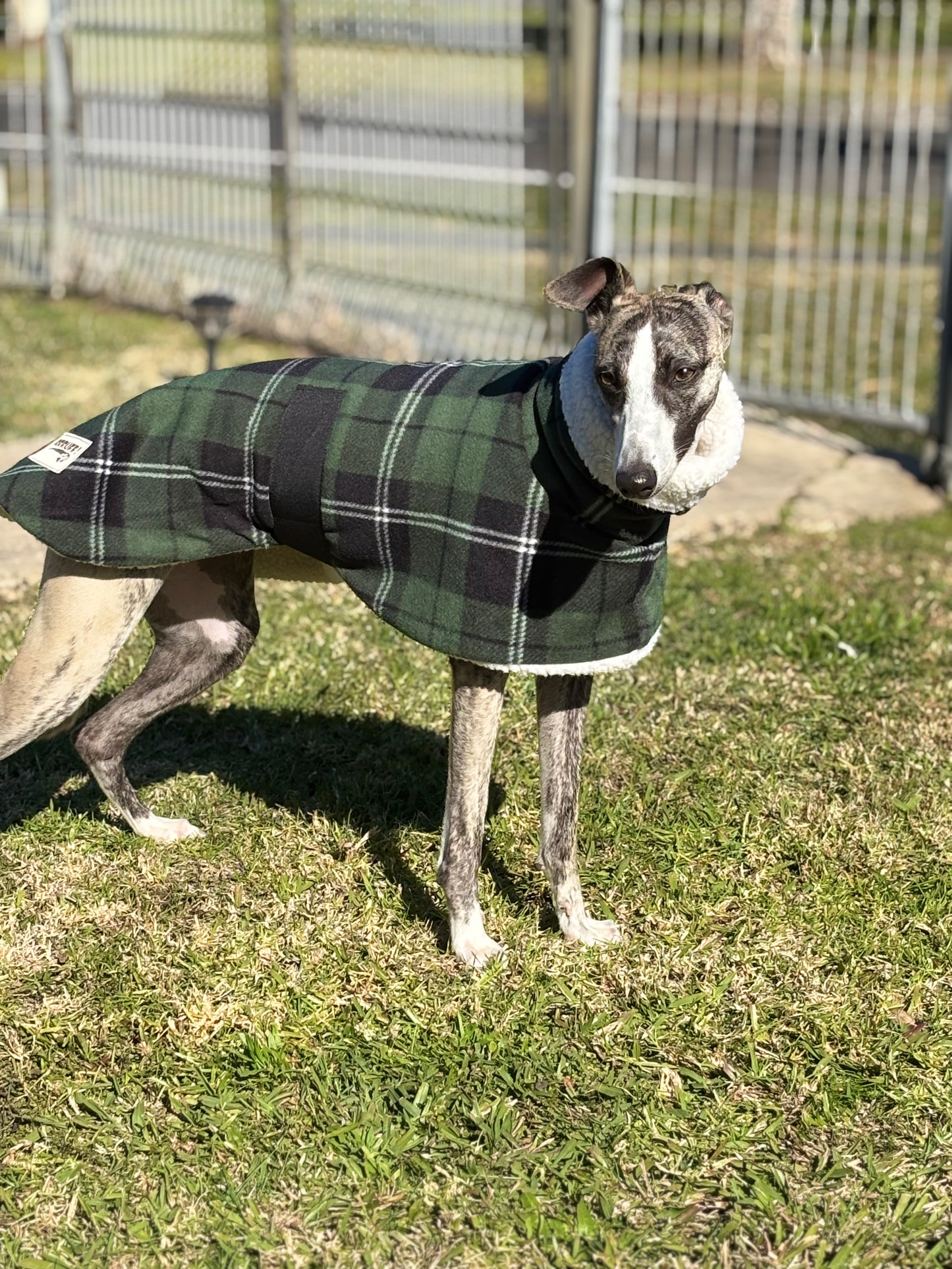 Green Lumberjack Greyhound coat in deluxe style rug tartan check polar fleece washable extra wide neck