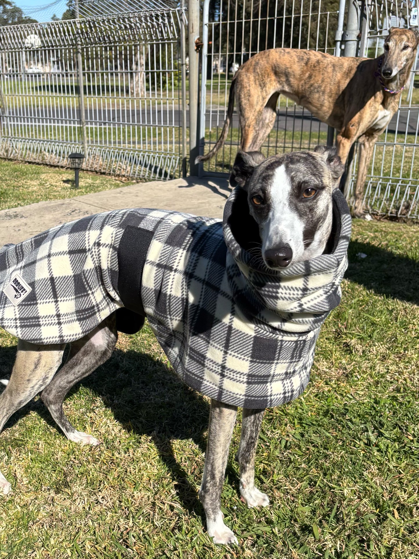 Classic Plaid tartan inspired whippet snuggly fleece