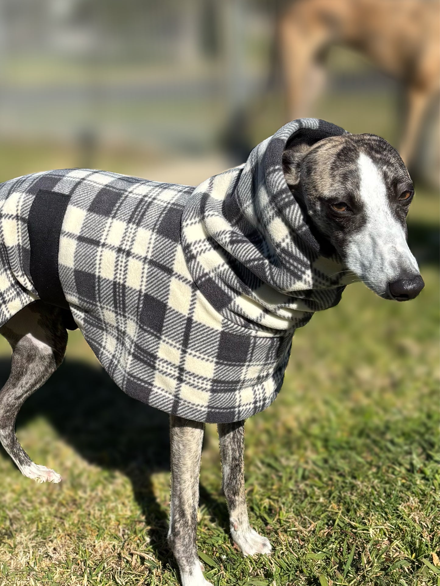 Classic Plaid tartan inspired whippet snuggly fleece