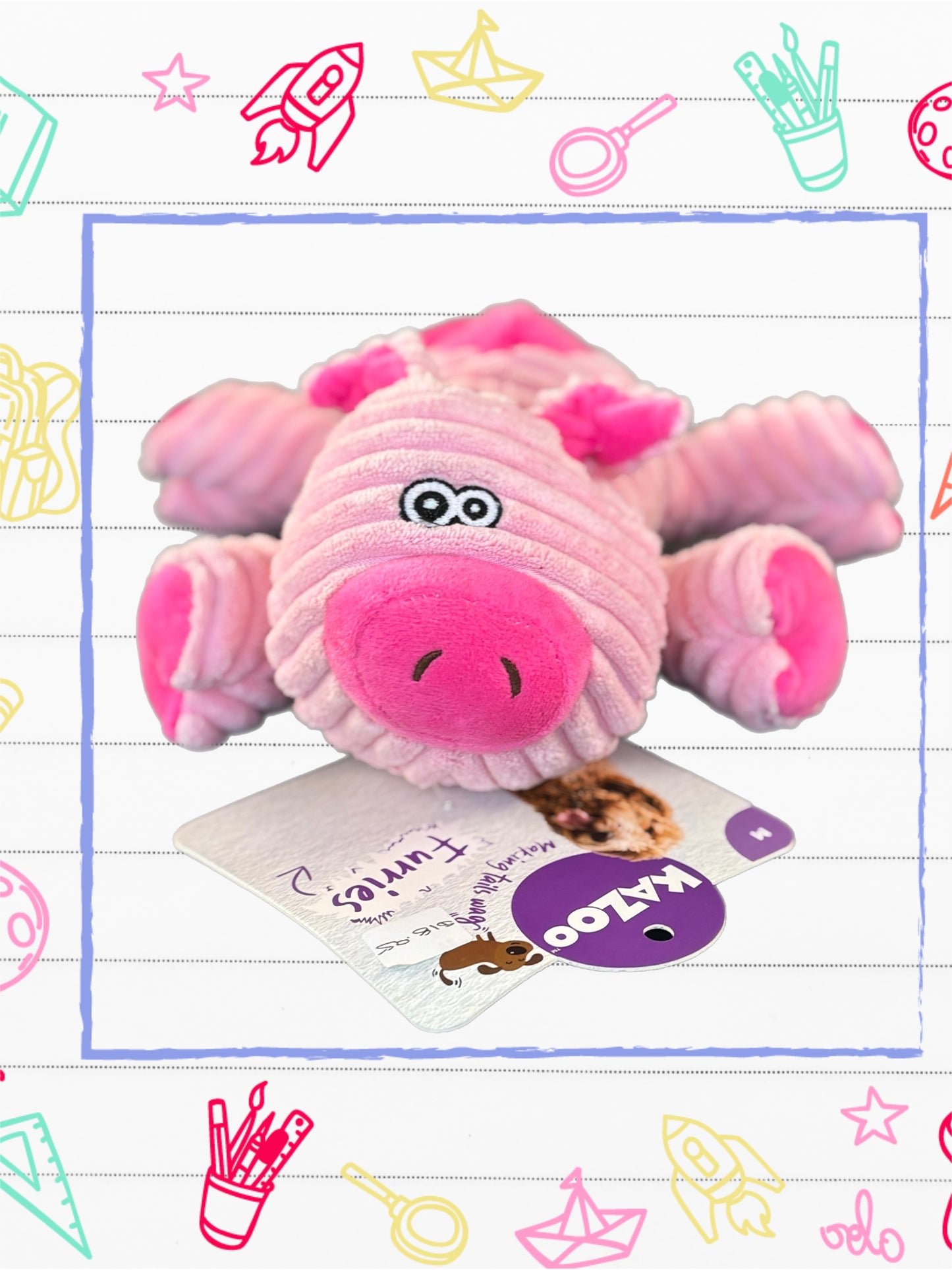 Kazoo Furries Funky Pig