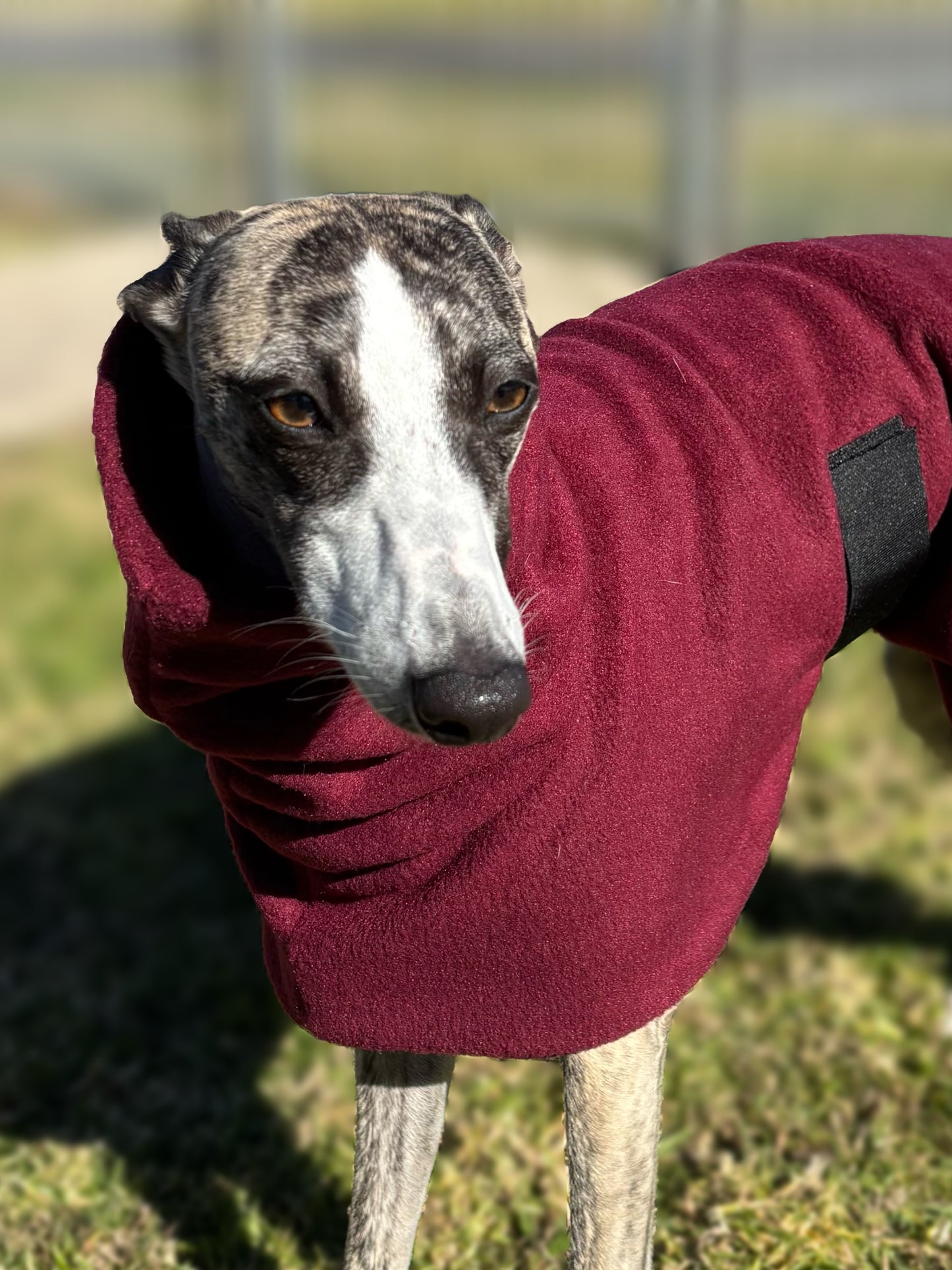 Deluxe whippet coats snuggly extra thick double fleece 7 color choices
