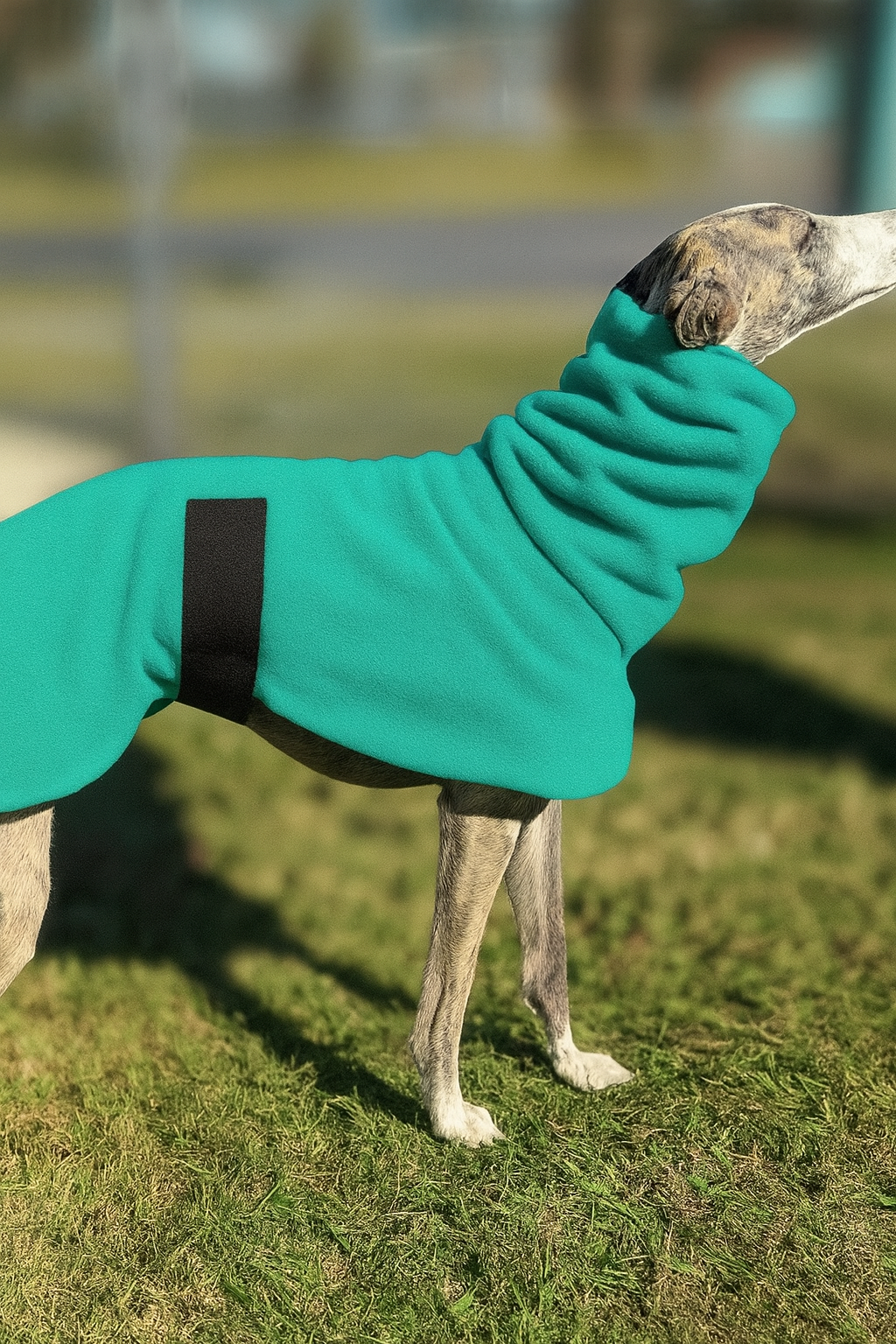 Deluxe whippet coats snuggly extra thick double fleece 7 color choices