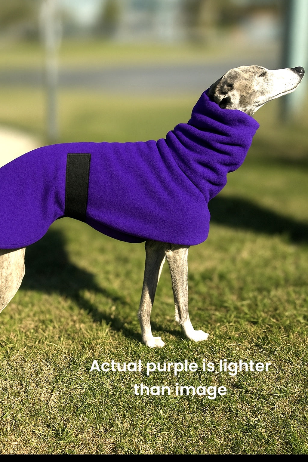 Deluxe whippet coats snuggly extra thick double fleece 7 color choices