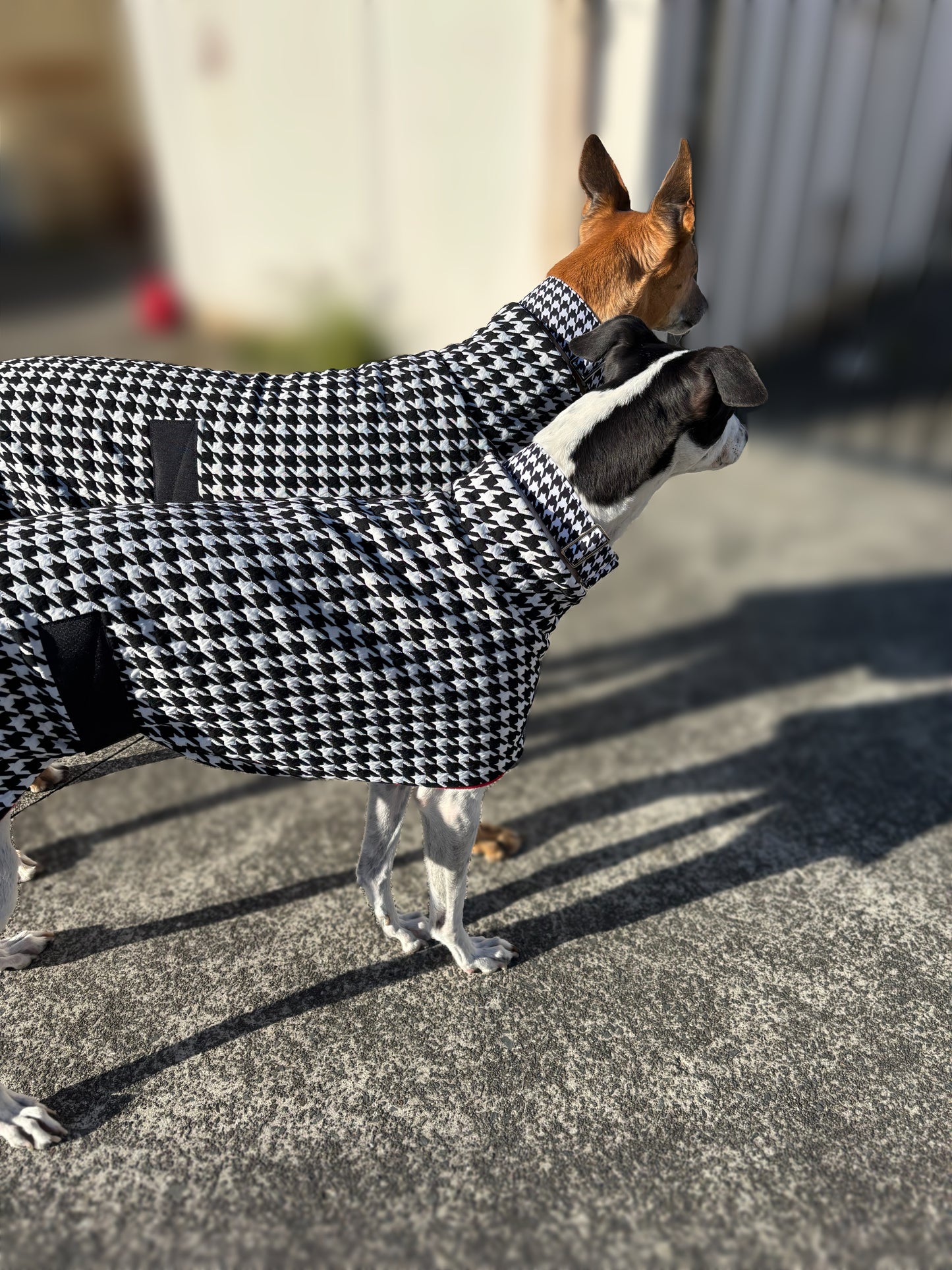 Greyhound sports coat Houndstooth black and white with red inner fleece