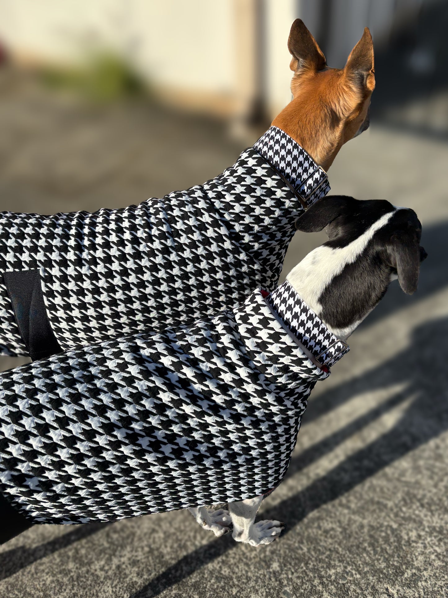 Greyhound sports coat Houndstooth black and white with red inner fleece