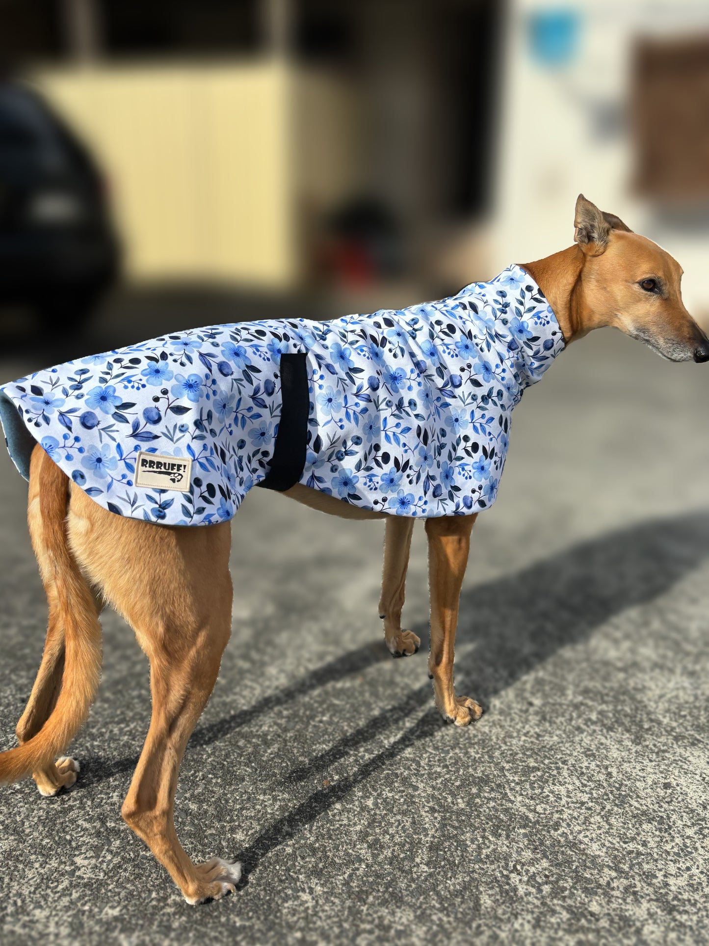 Blue blossom greyhound sports coat in cotton & fleece
