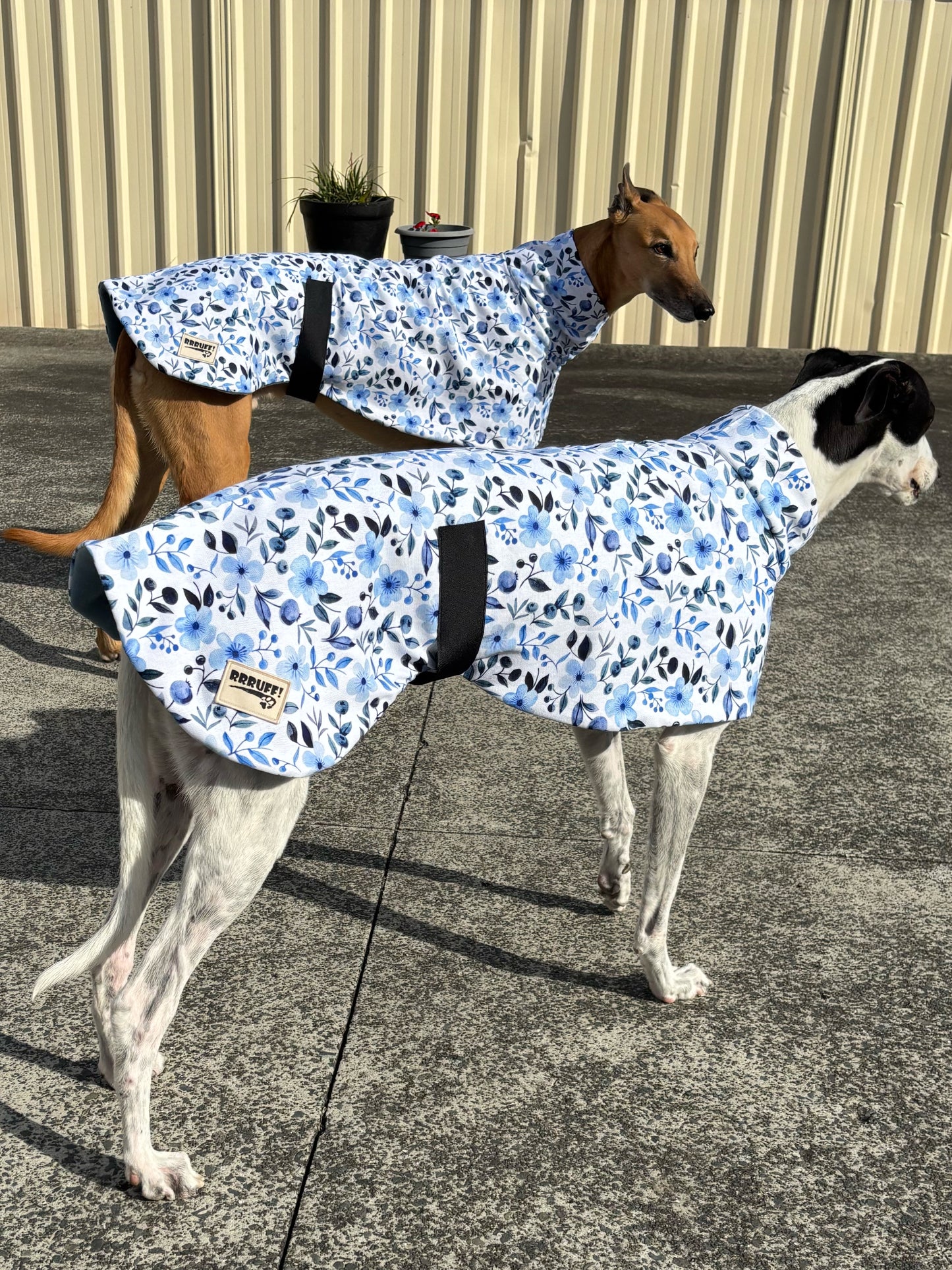 Blue blossom greyhound sports coat in cotton & fleece