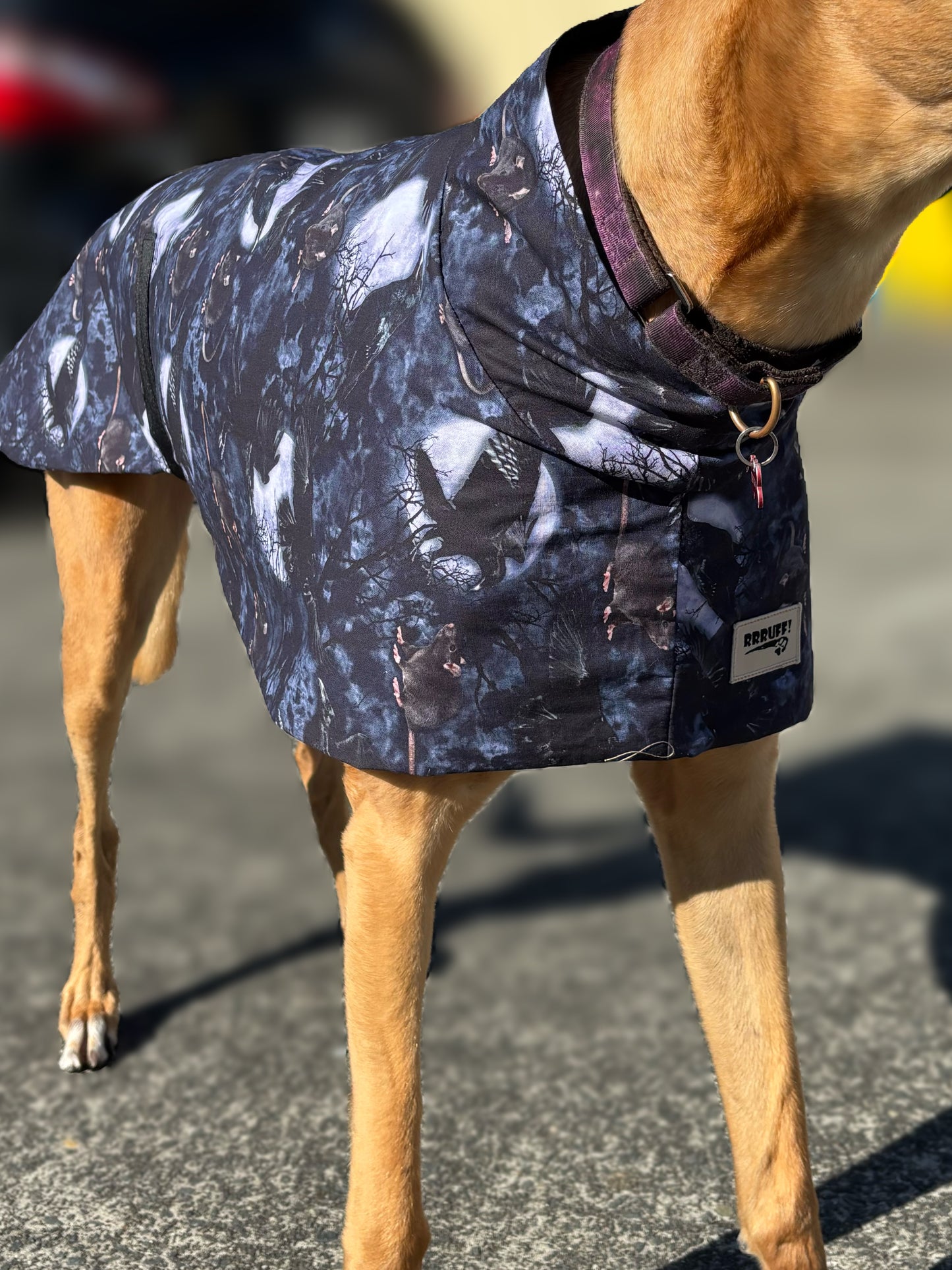 Ravens & Rats Halloween greyhound cotton sports
