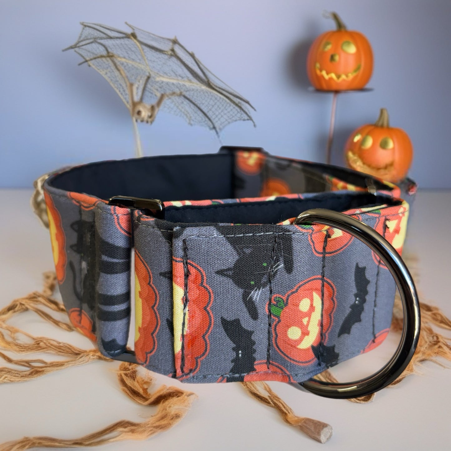 Halloween pumpkin & black cats martingale collar
