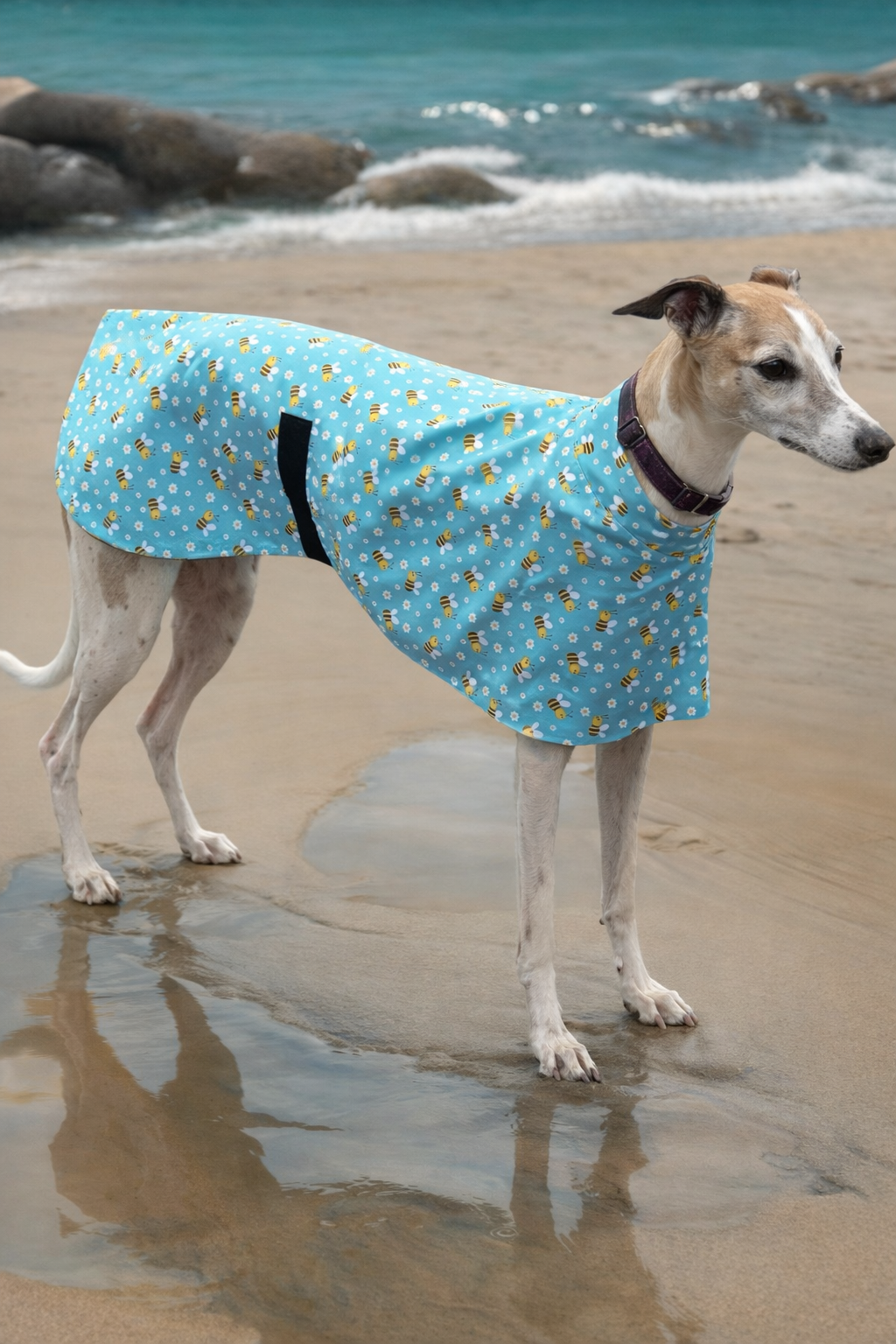Summer sun coat featherweight greyhound slip-on coat