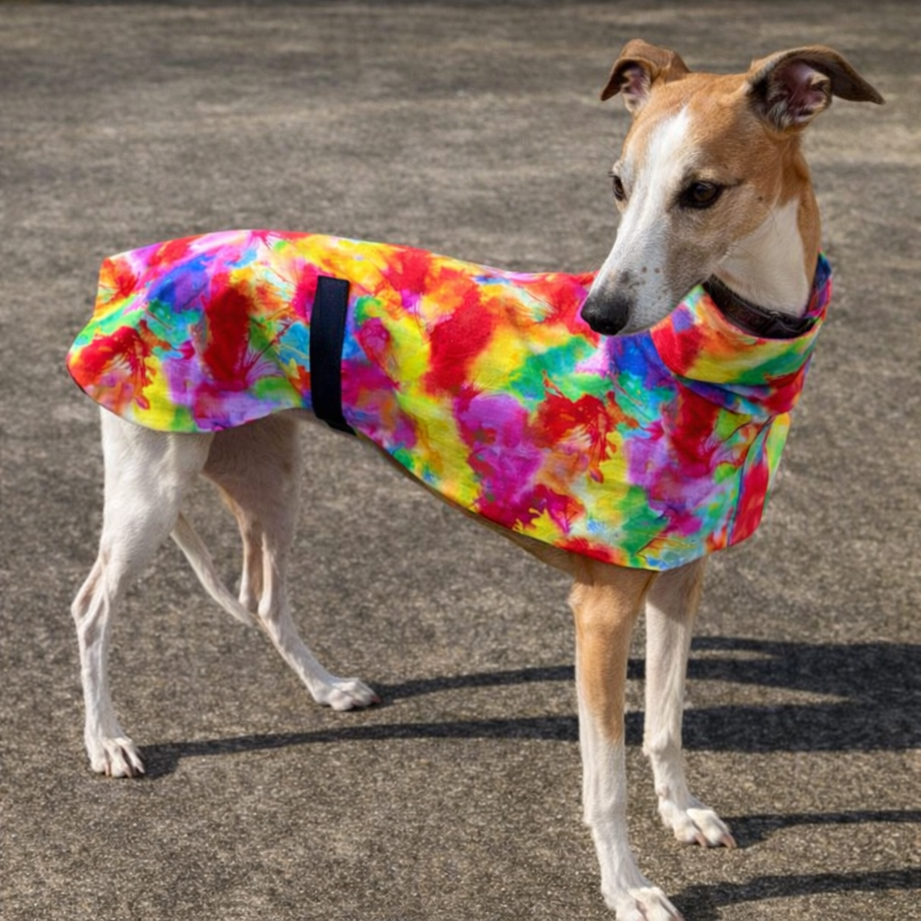 Summer sun coat featherweight greyhound slip-on coat radiant splash of color