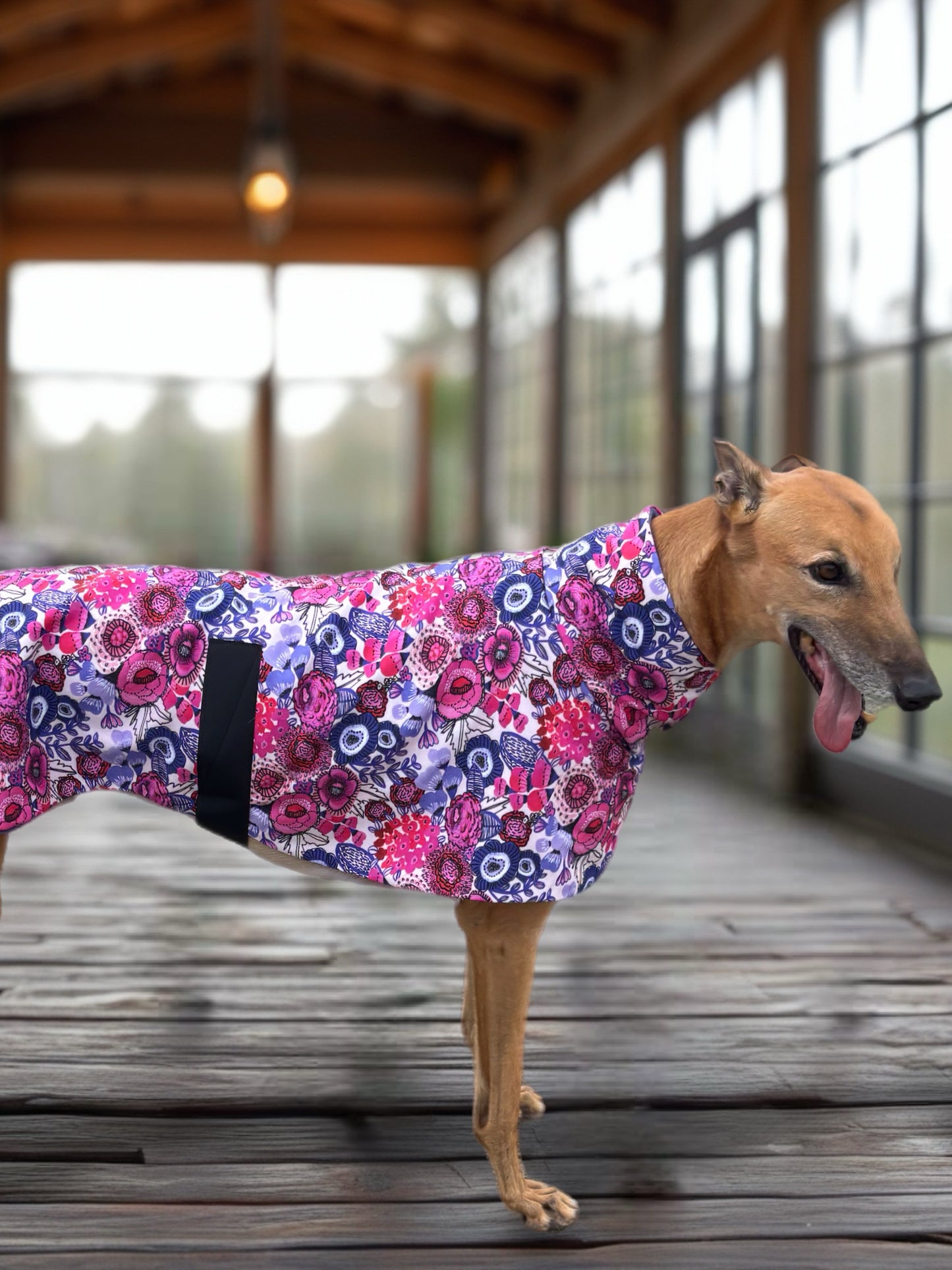 Electric bloom in Pink & purple midweight cotton & fleece greyhound sports coat