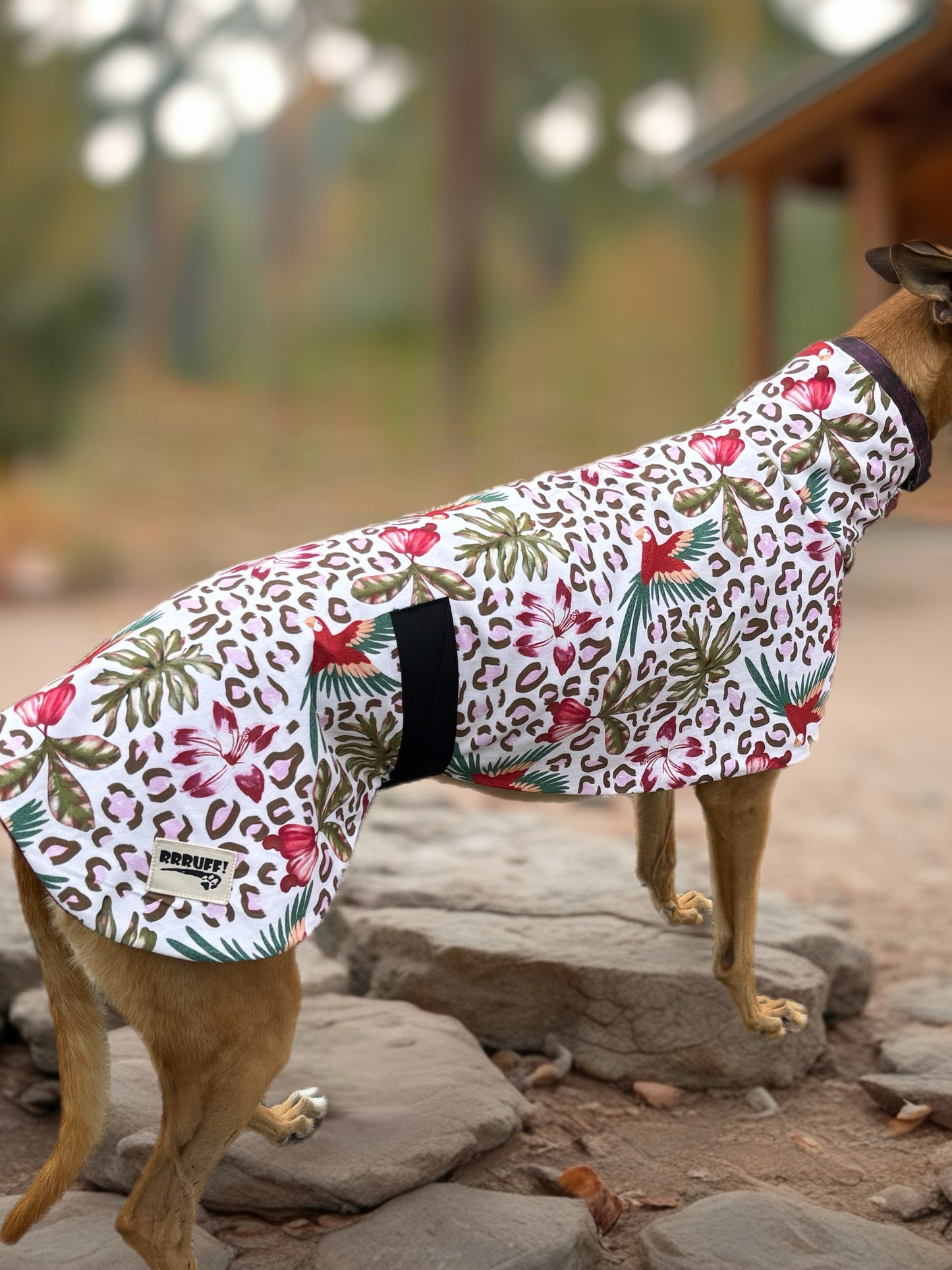 Wild tropics mid weight cotton & fleece greyhound sports coat