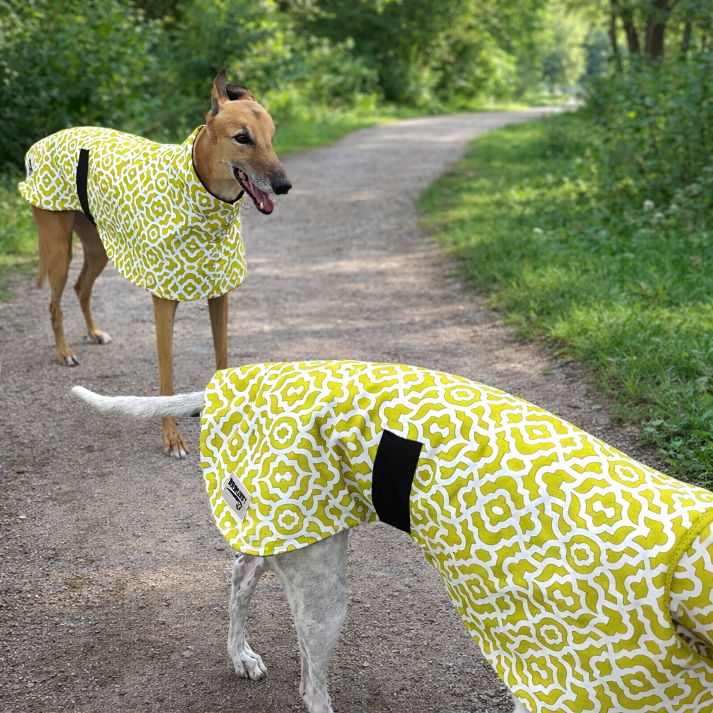 Lime Pop Geo mid weight cotton & fleece greyhound sports coat autumn wear