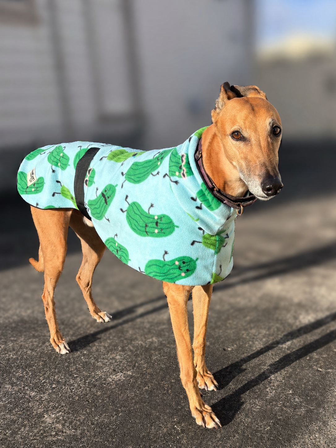 Pickle ball anyone? Greyhound midweight fleece sports washable