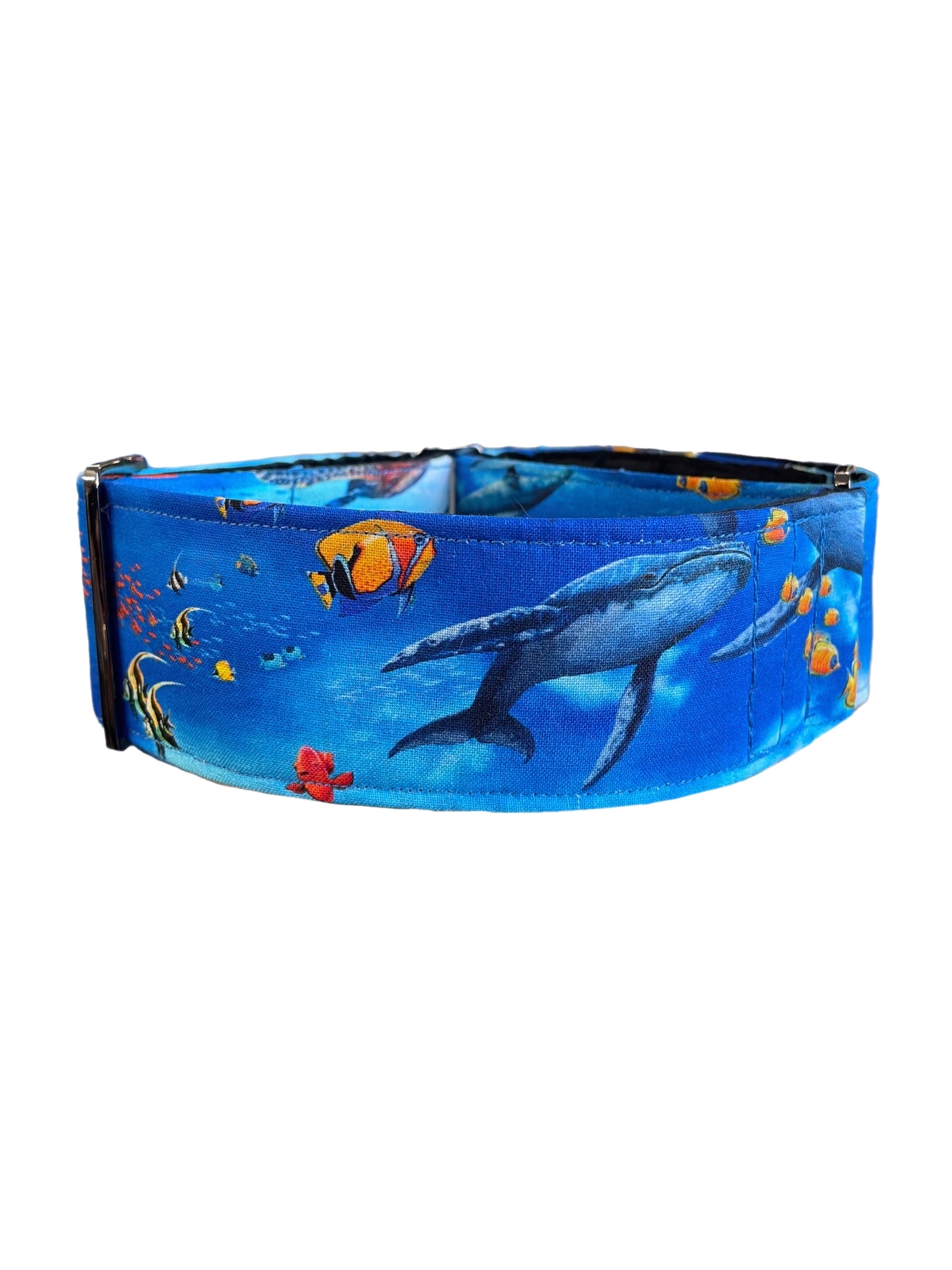 Marine life Greyhound Martingale collar dolphins turtle fish cotton covered 50mm width super soft