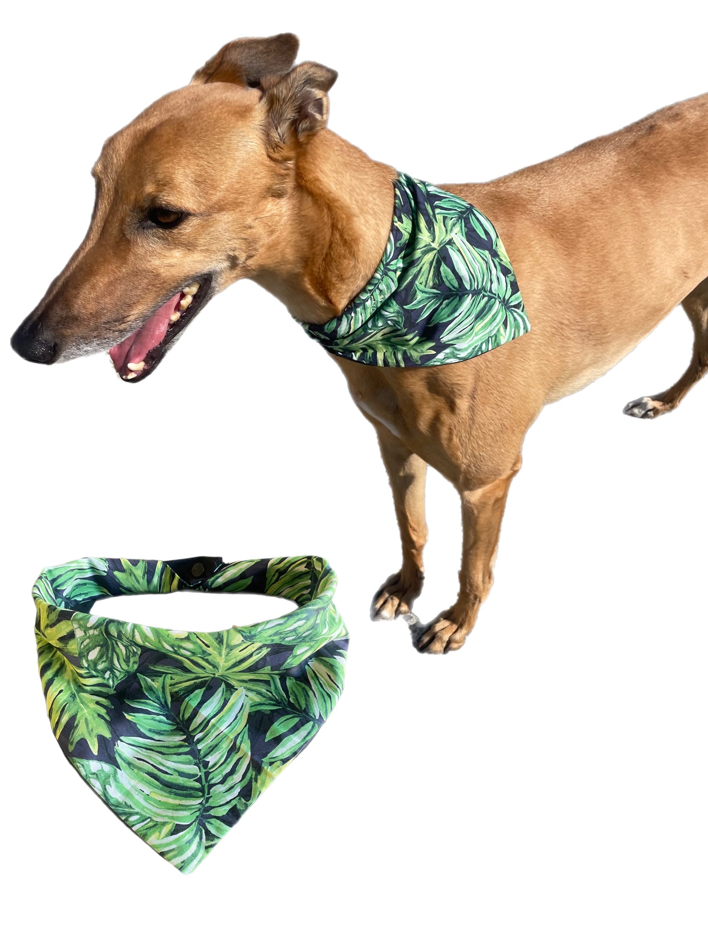 Bandana for the large dog greyhound staffy labrador double sided