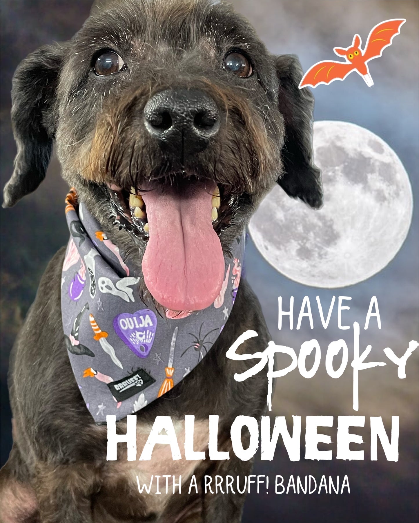 Halloween Bandana for the large dog greyhound staffy labradoodle reversible, cotton